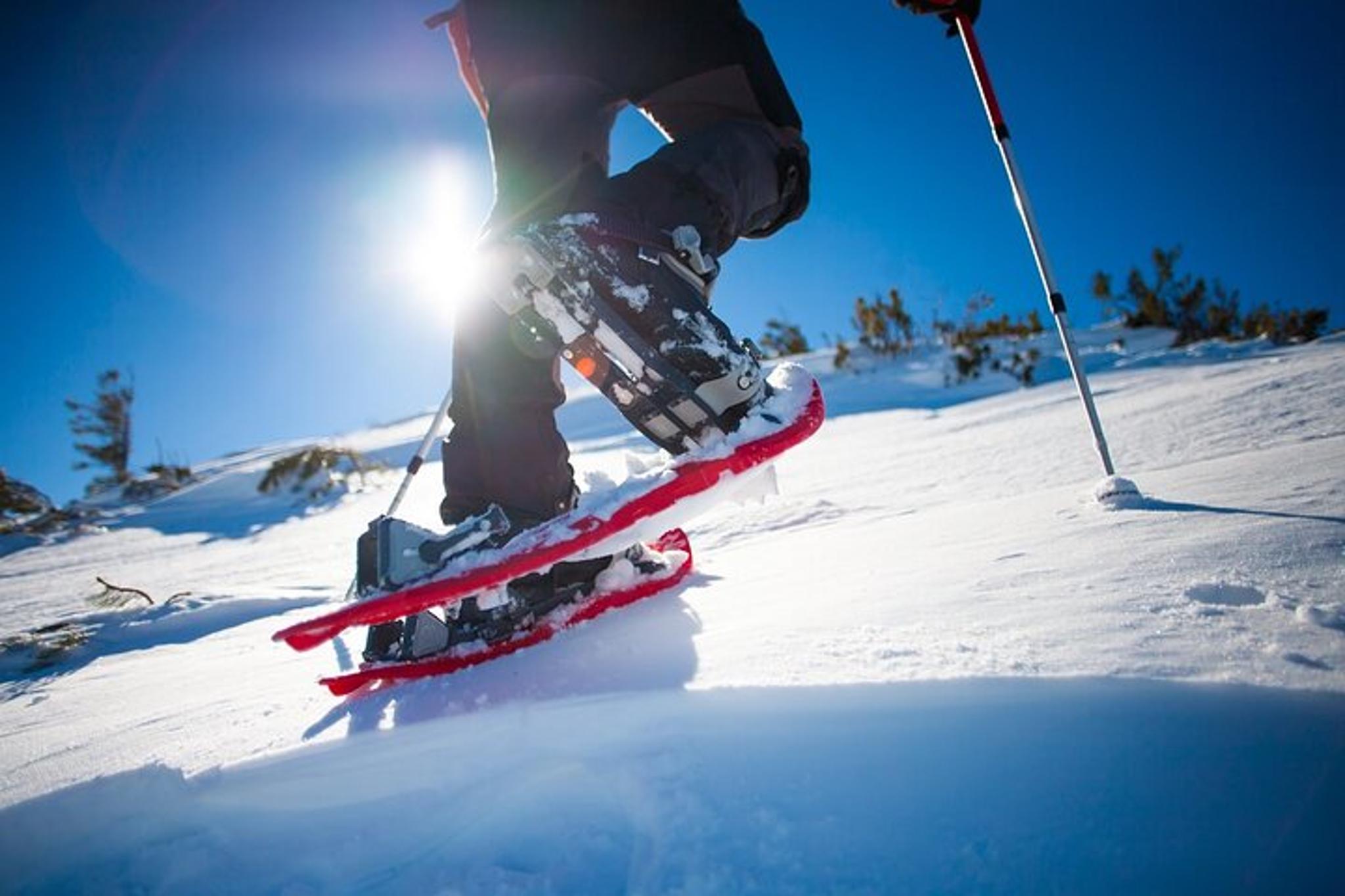 Fairbanks Snowshoe and Trek Pole Rental