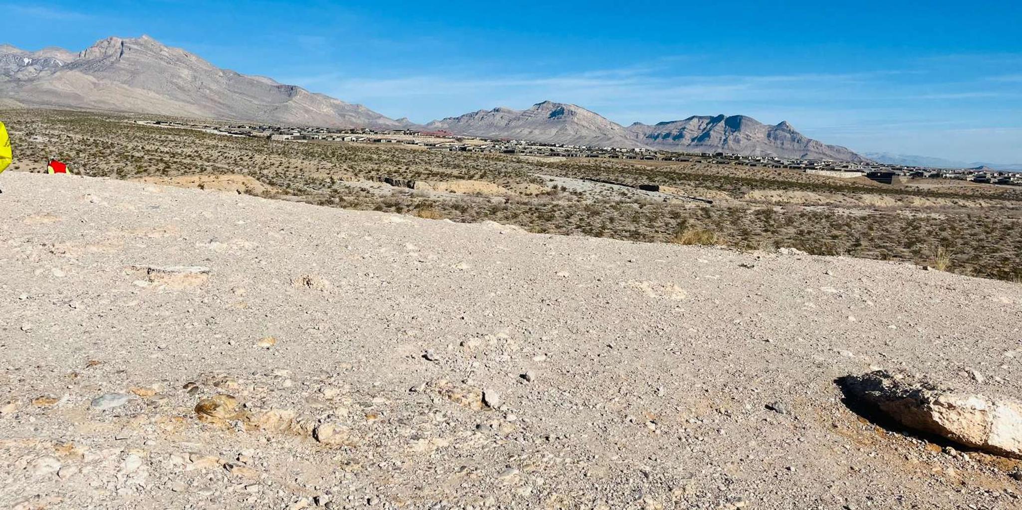 Las Vegas Red Rock Canyon Tesla Self-Guided Tour - Image 6