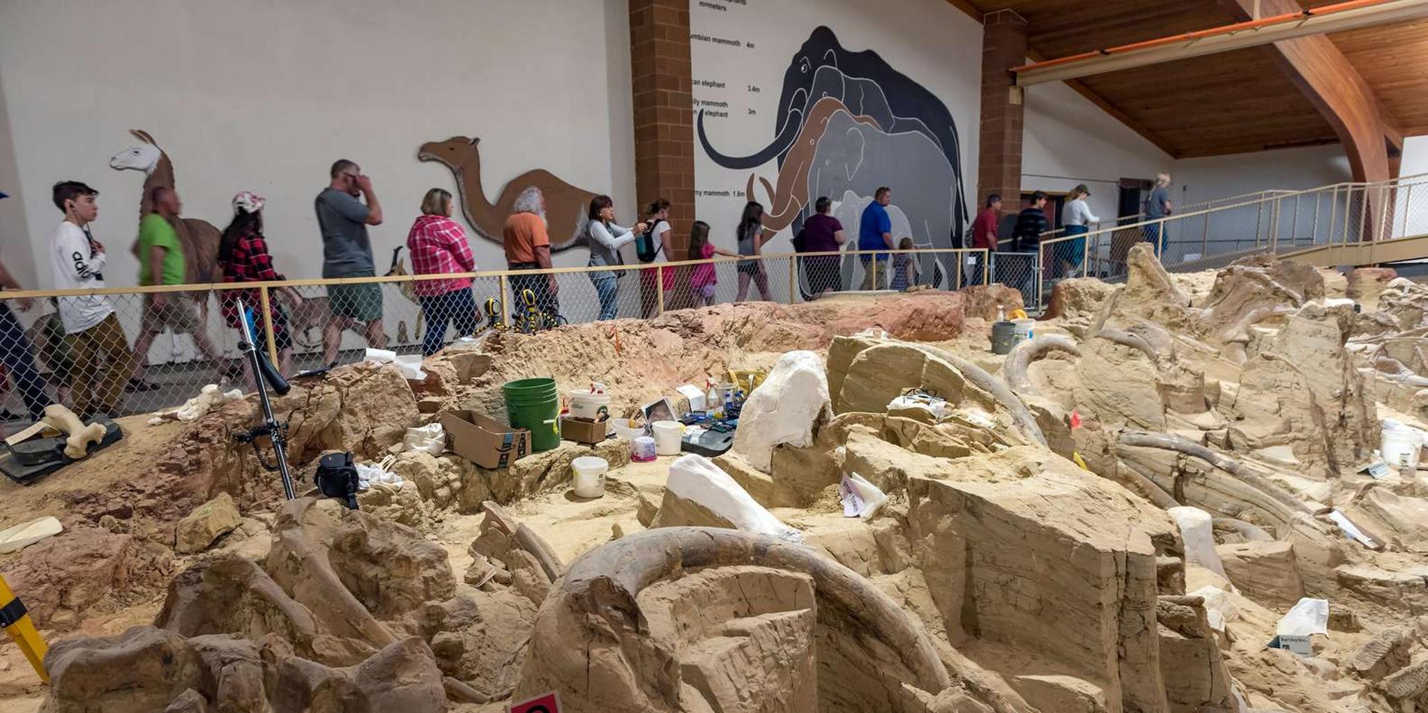 Custer State Park Jeep Safari & Mammoth Site Tour