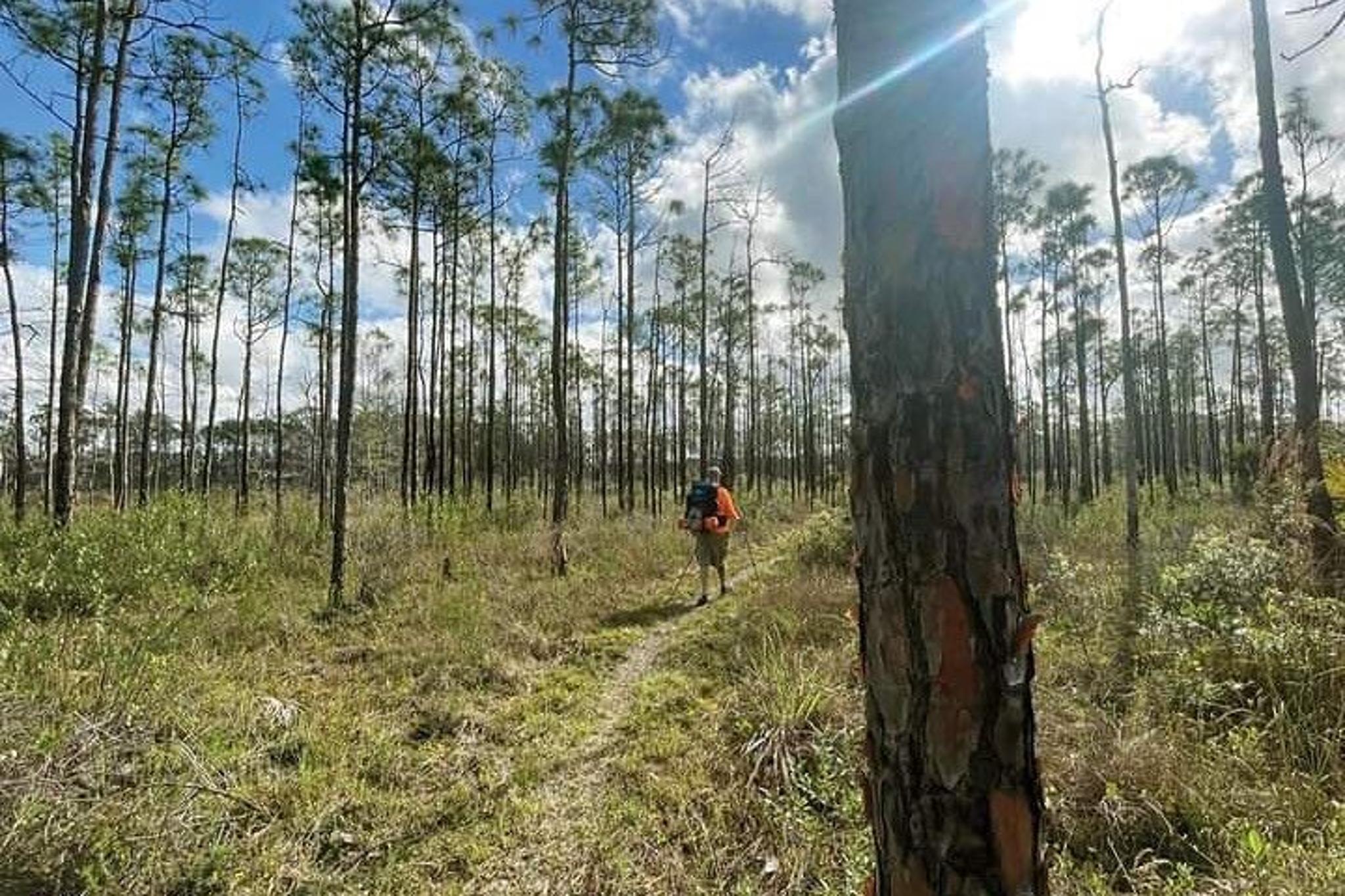 Florida Backcountry Camping Adventure - Image 3