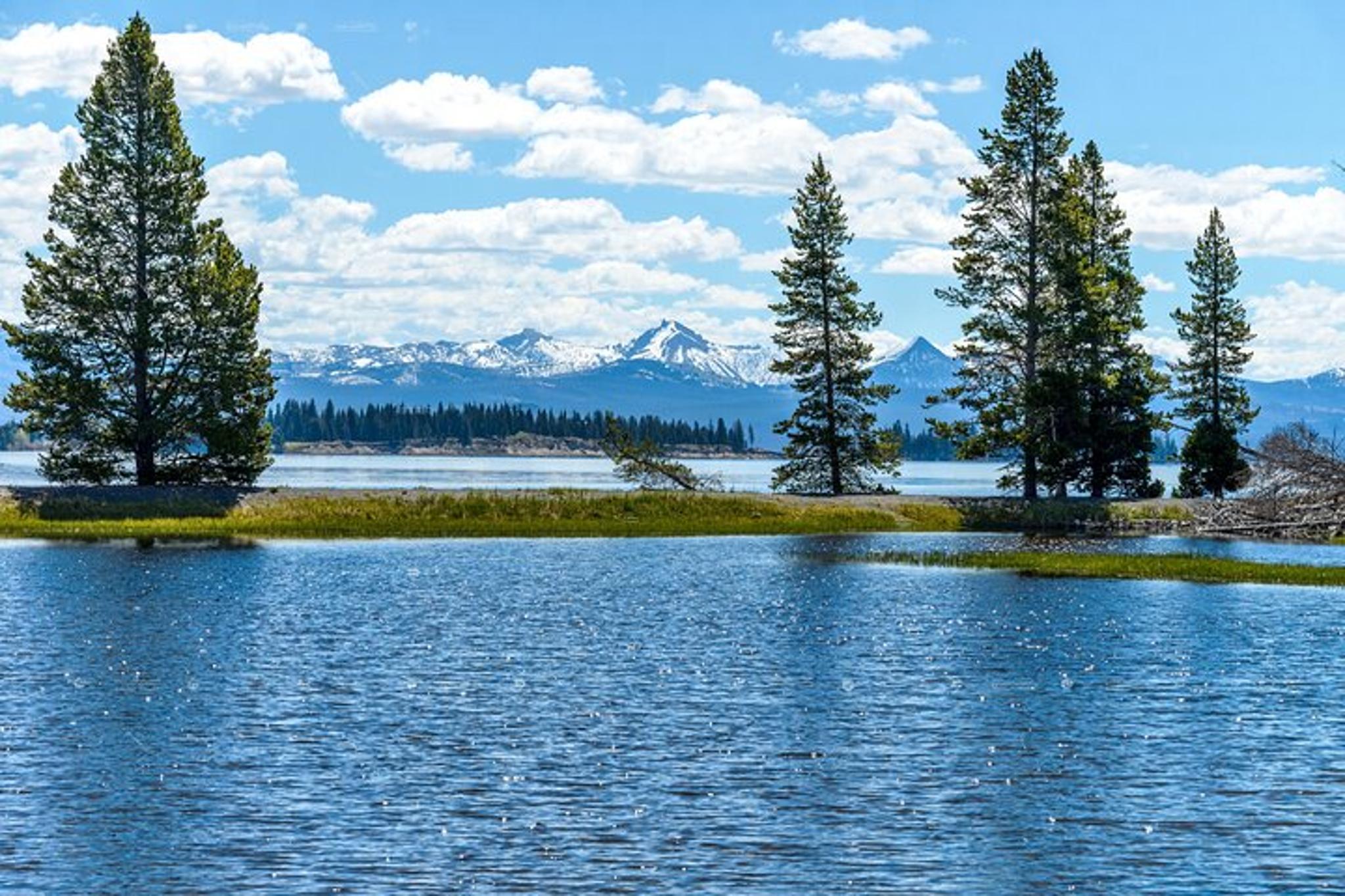 Bozeman Yellowstone Day Tour - Image 6