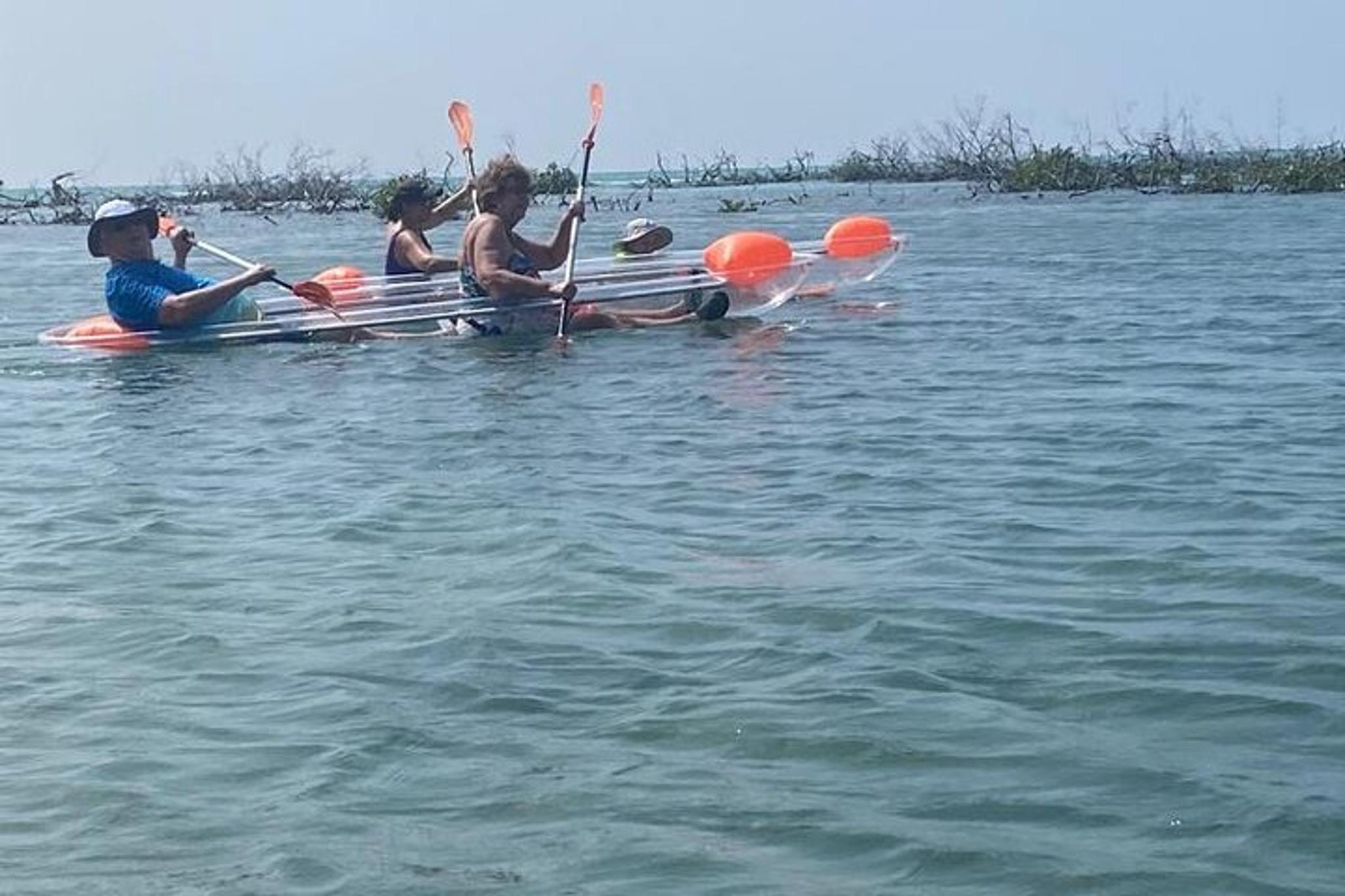 Grand Bahama Clear Kayak Tour - Image 6