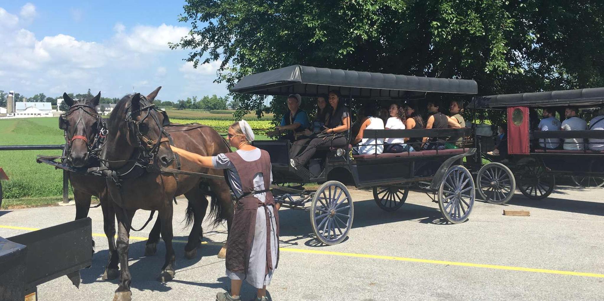 New York to Philadelphia and Amish Community Tour - Image 6