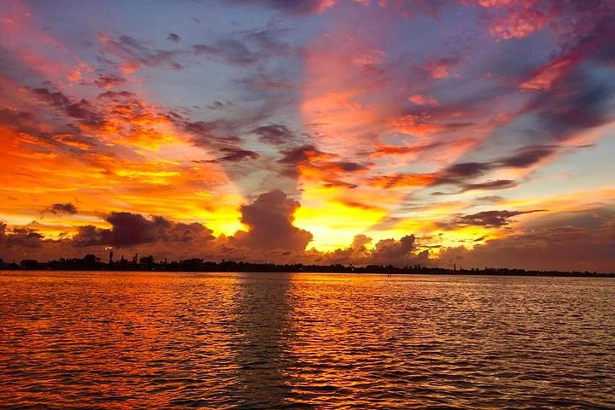 Anna Maria Island Dolphin Boat Tour at Sunset - Image 6