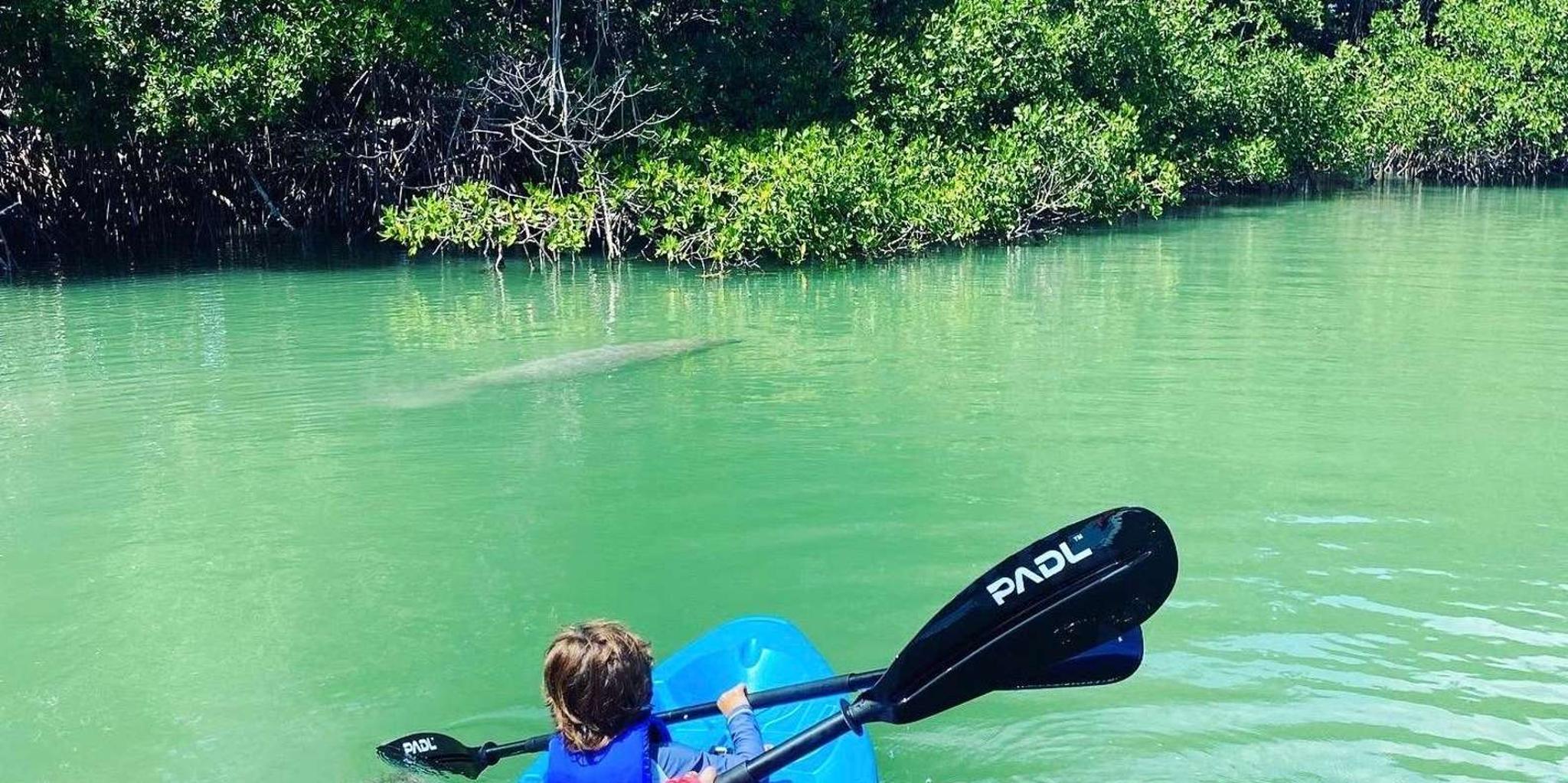 Miami Paddle Board or Kayak Rental in Virginia Key - Image 6