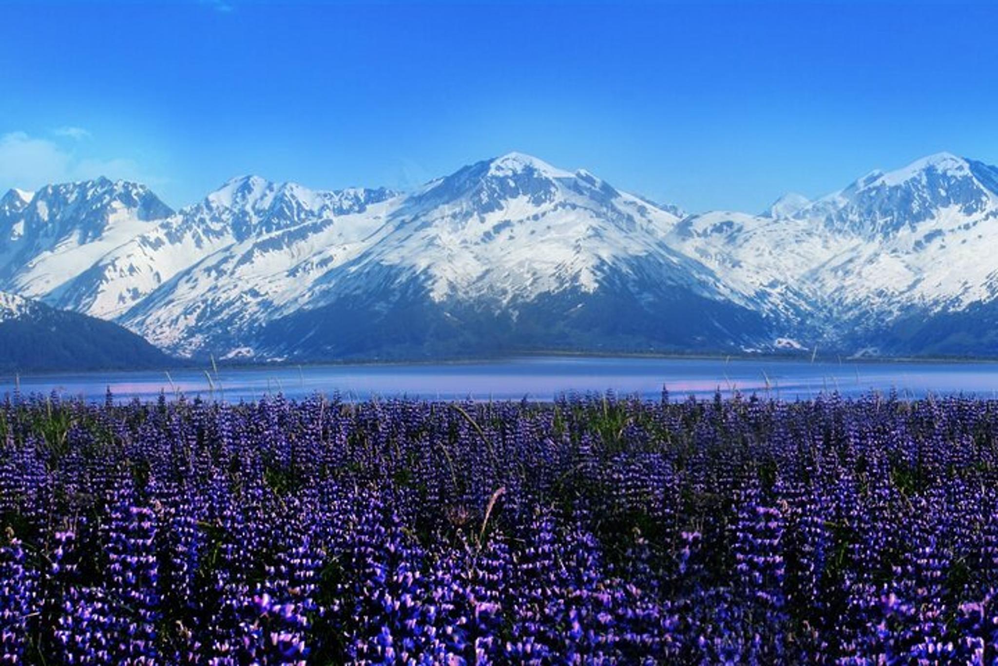 Anchorage Wildlife Conservation Center Tour 1 hr - Image 2