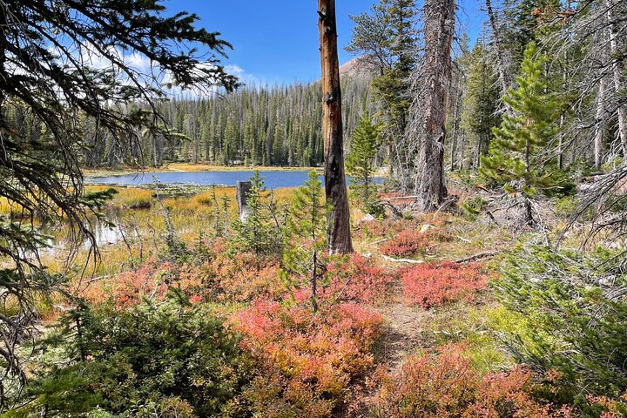 Utah Mountain Backcountry Day Trip - Image 1