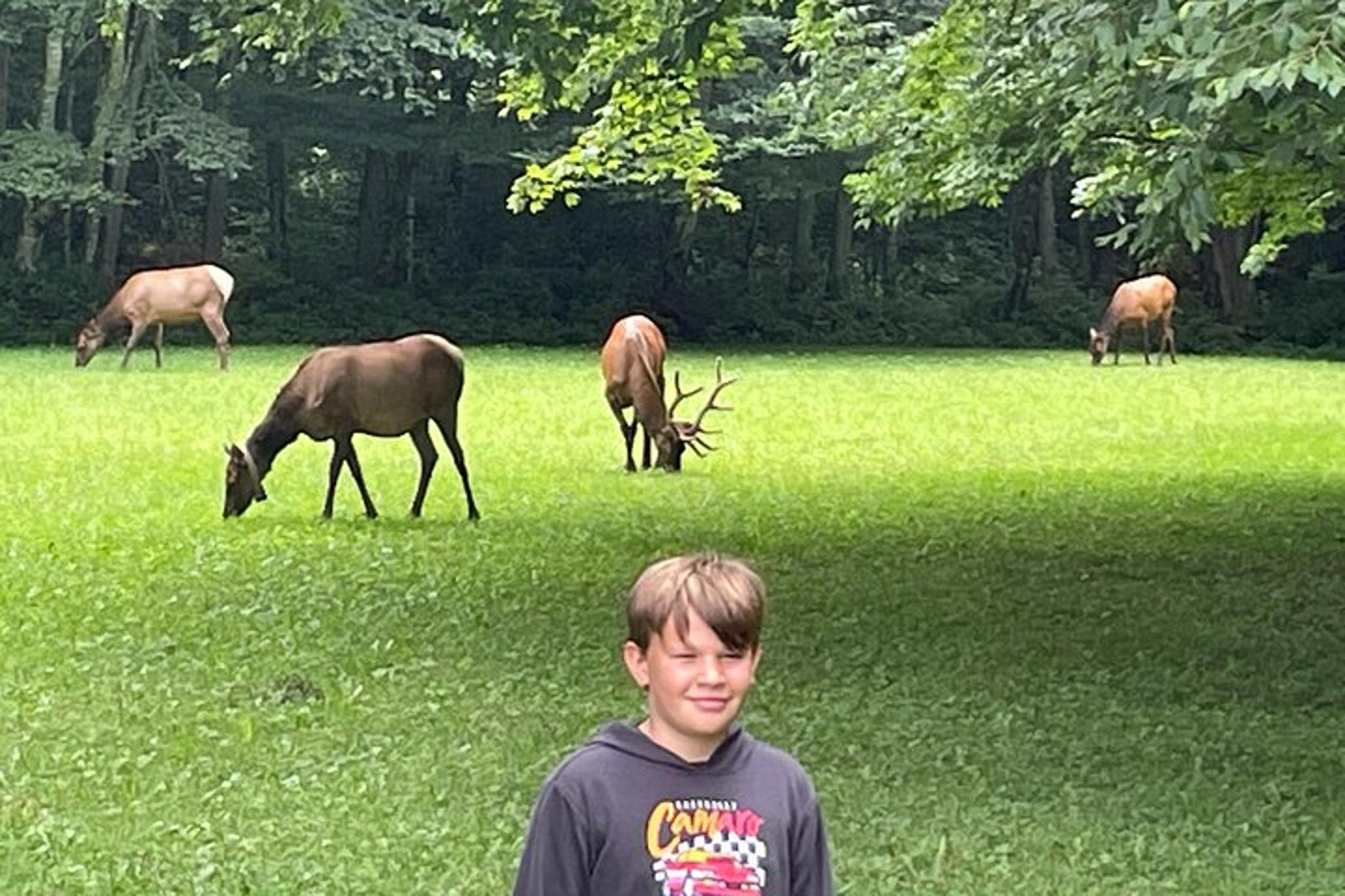 Elk Wilderness UTV Adventure in the Smokies 3 hr - Image 3