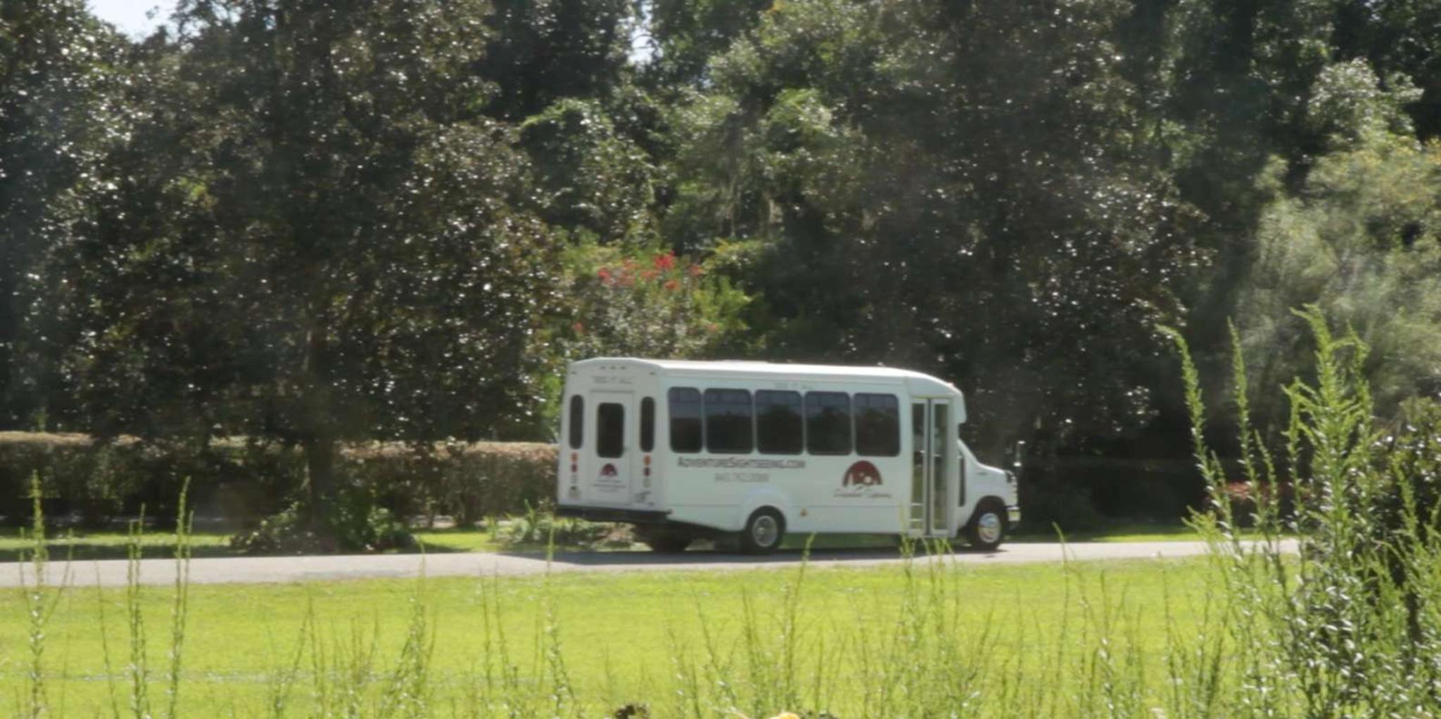 Charleston Magnolia Plantation Tour with City Highlights - Image 4