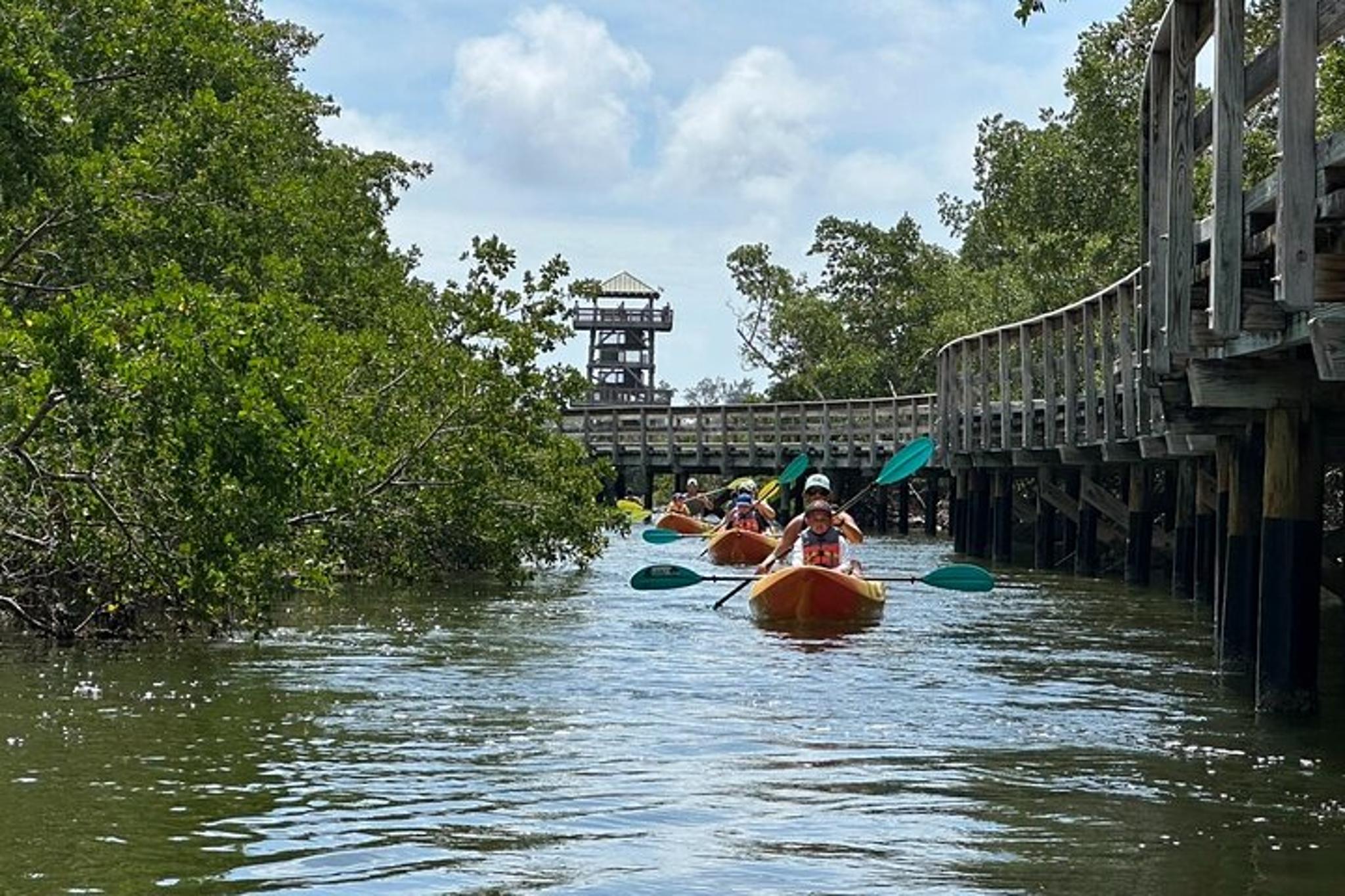 Robinson Preserve Mangrove Kayak Tour - Image 6