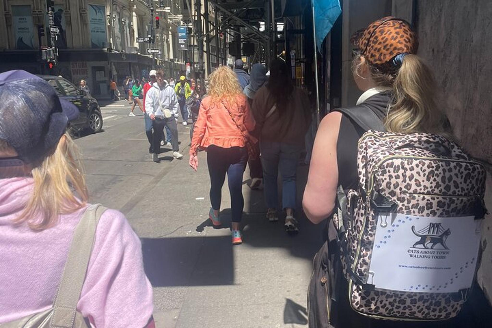 New York Cat Tales Walking Tour Financial District 2 hr