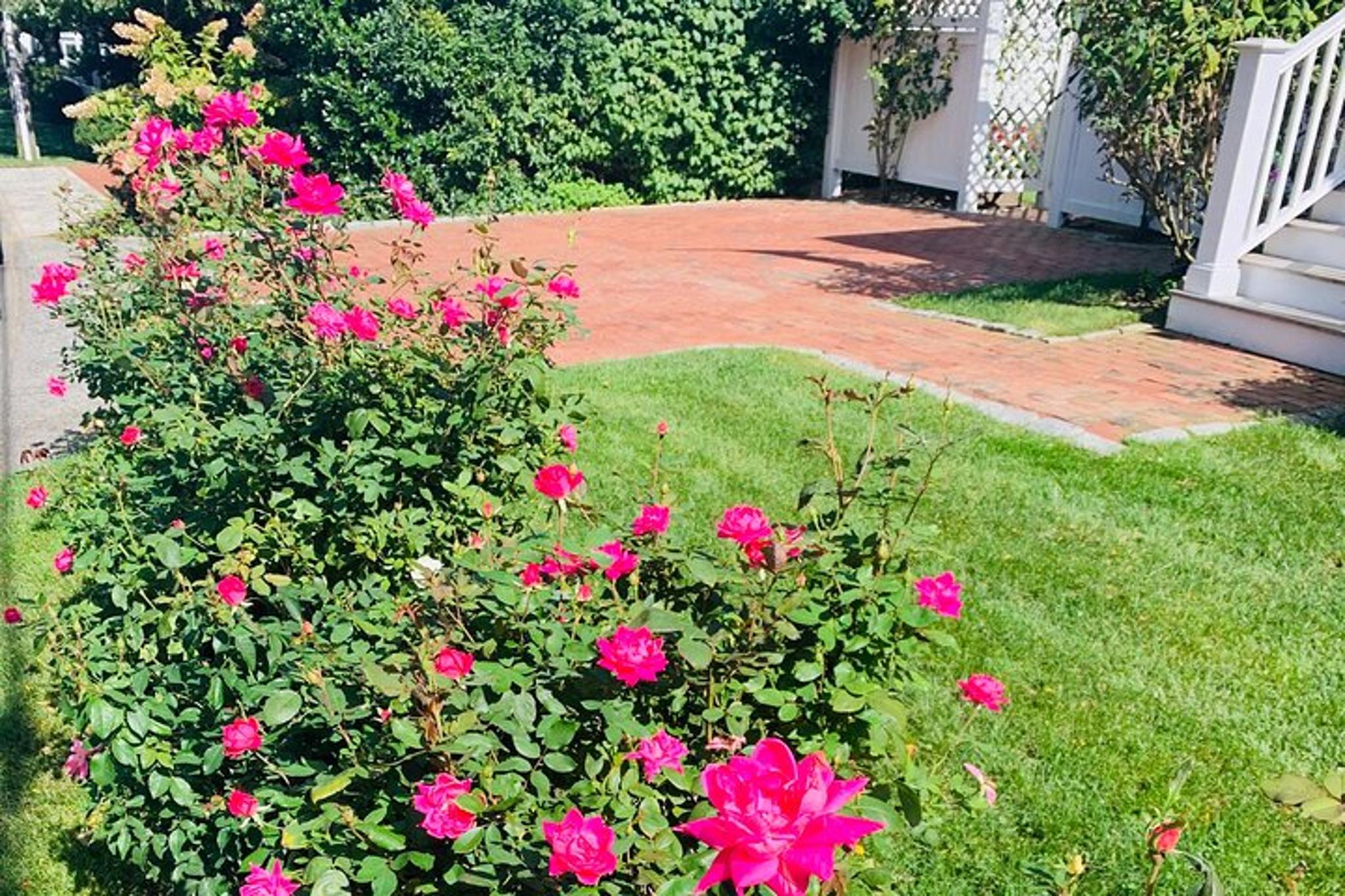 Martha's Vineyard Island Tour 2 hr - Image 3