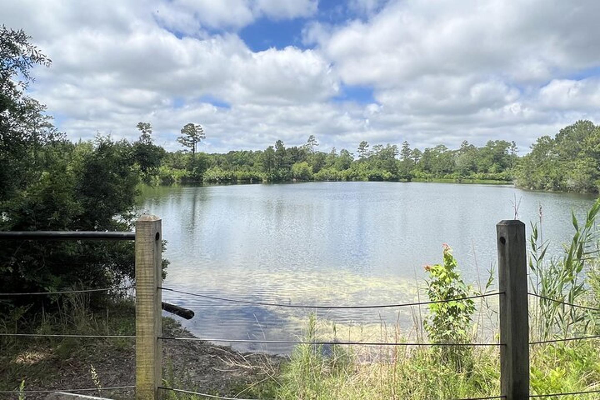 Wilmington E-Bike Tour of Airlie Gardens - Image 6
