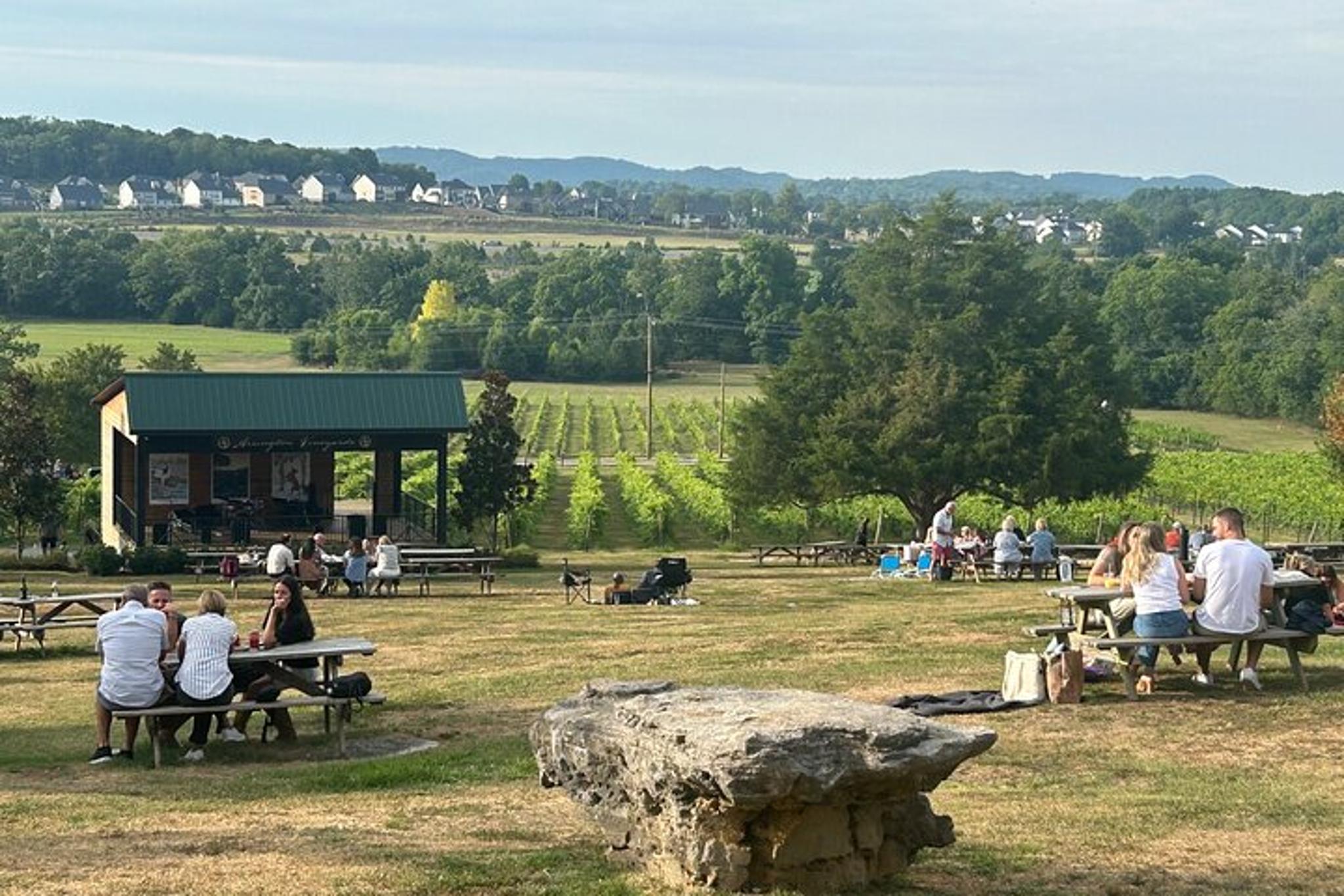 Nashville Wine and Dine Tour - Image 1