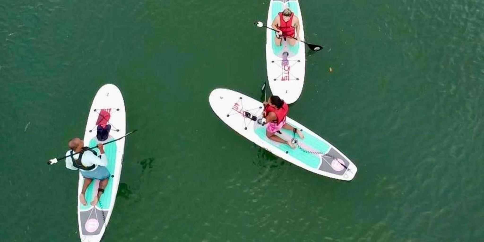 Miami Paddle Board or Kayak Rental in Virginia Key - Image 4