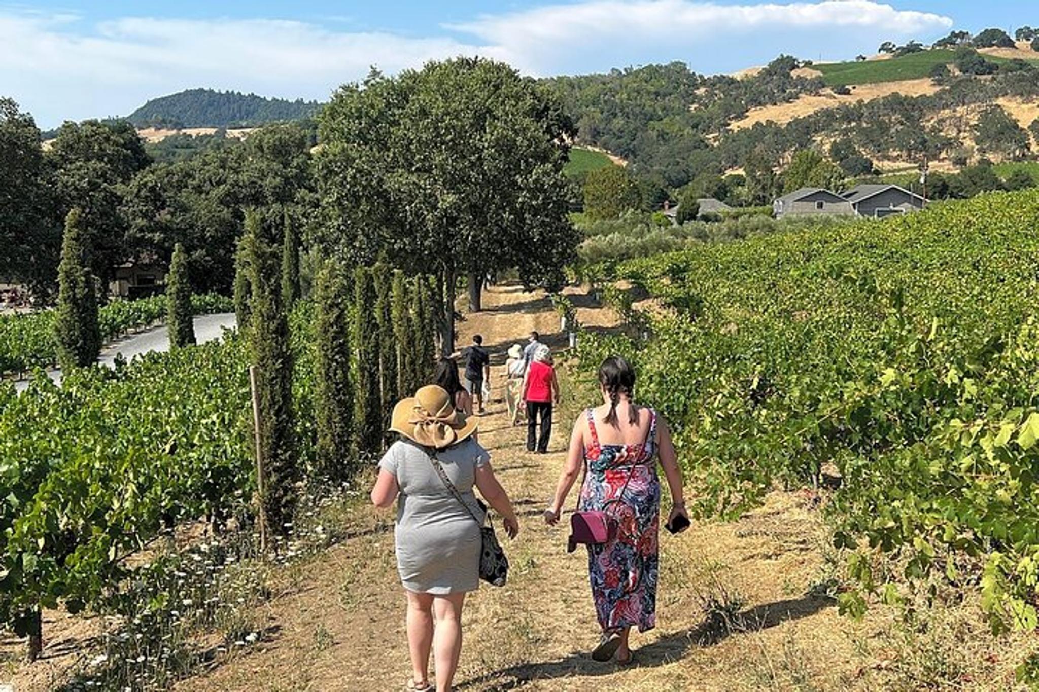 Napa Valley Mountainside Winery Tour - Image 5