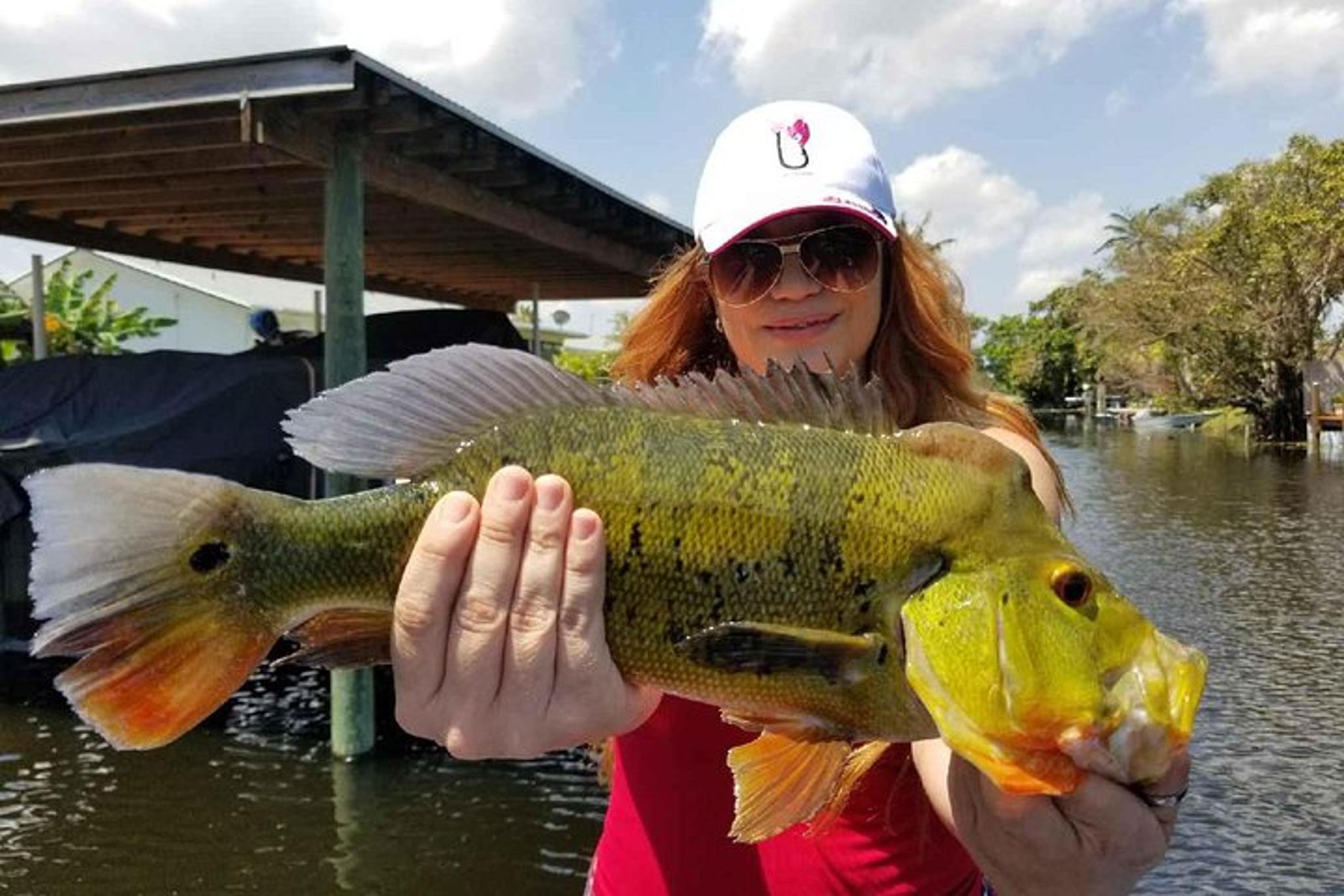 Boca Raton Peacock Bass Fishing Trip - Image 6