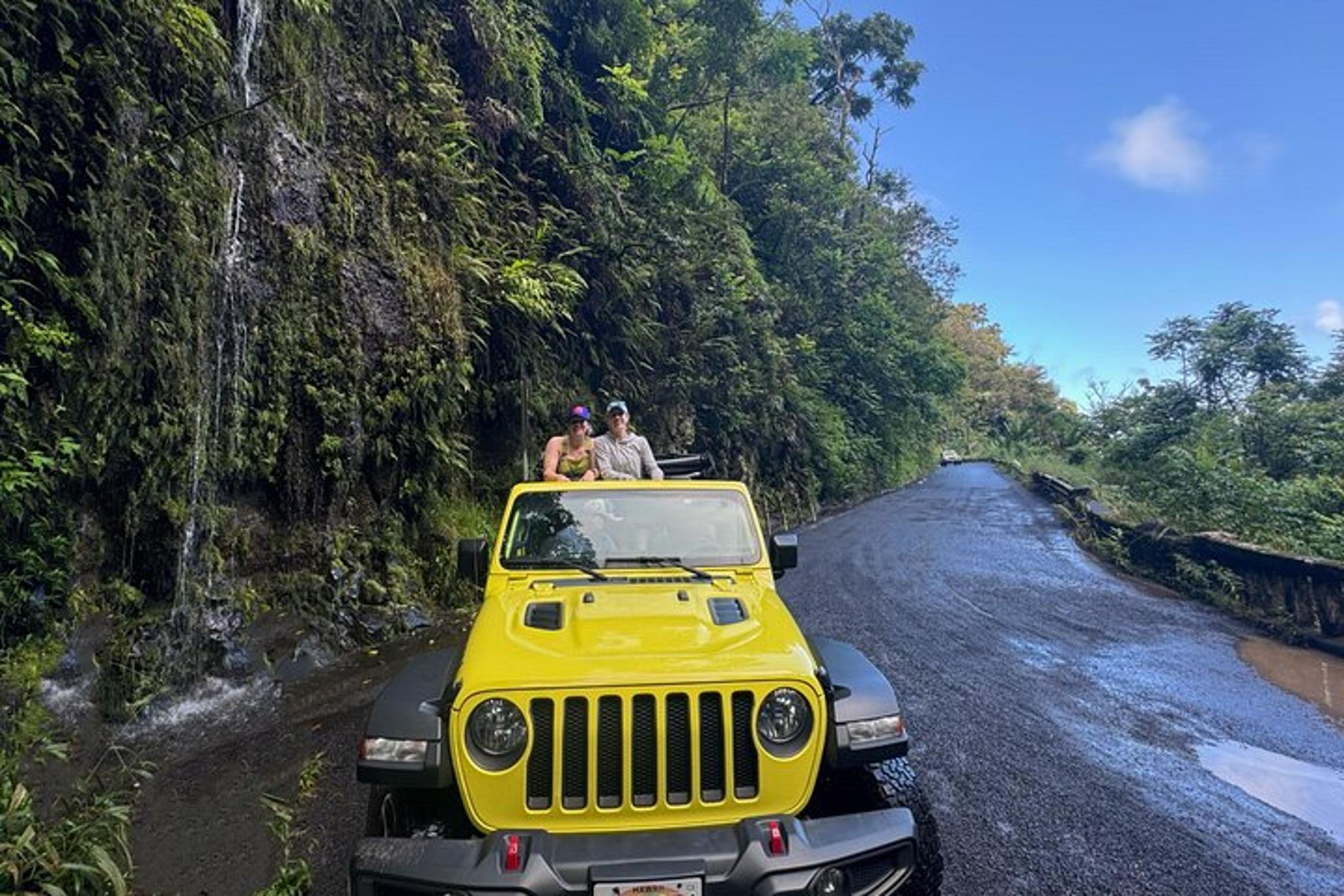 Maui Road to Hana Open-Air Jeep Tour - Image 1