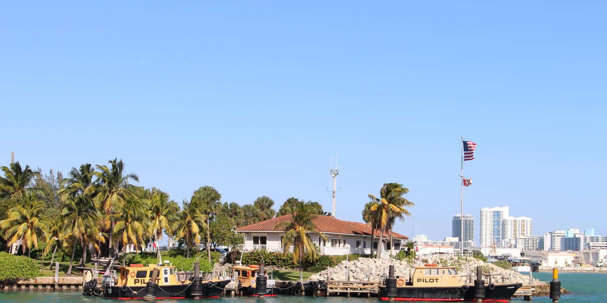 Miami Bus Tour, Celebrity Homes Cruise, and Artechouse - Image 3