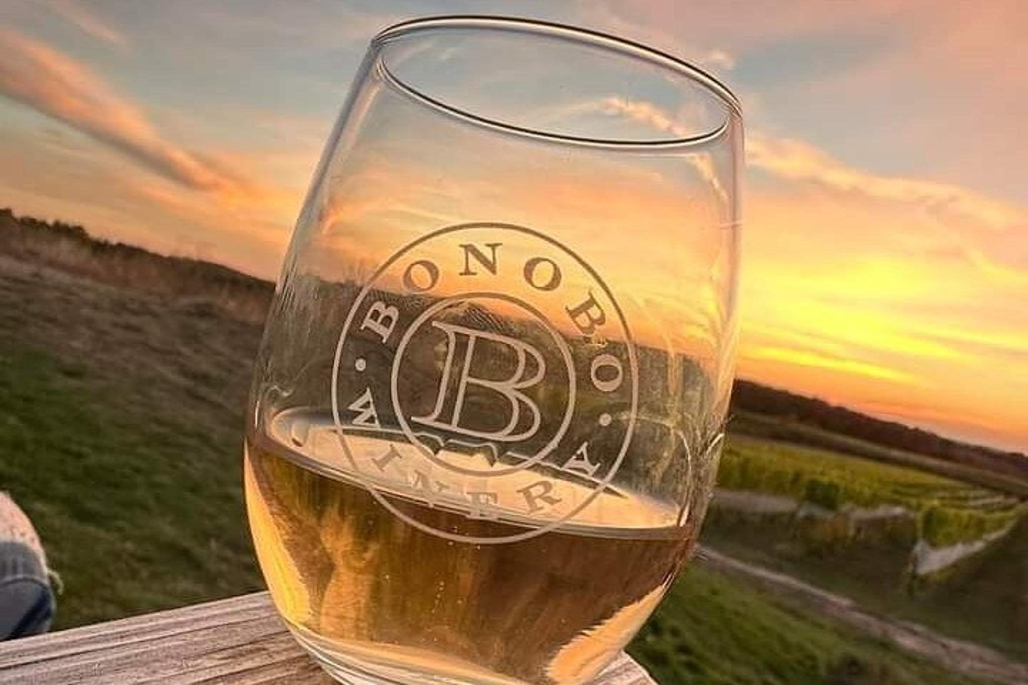 Traverse City Wine Tour 2-Day Peninsula Adventure - Image 3