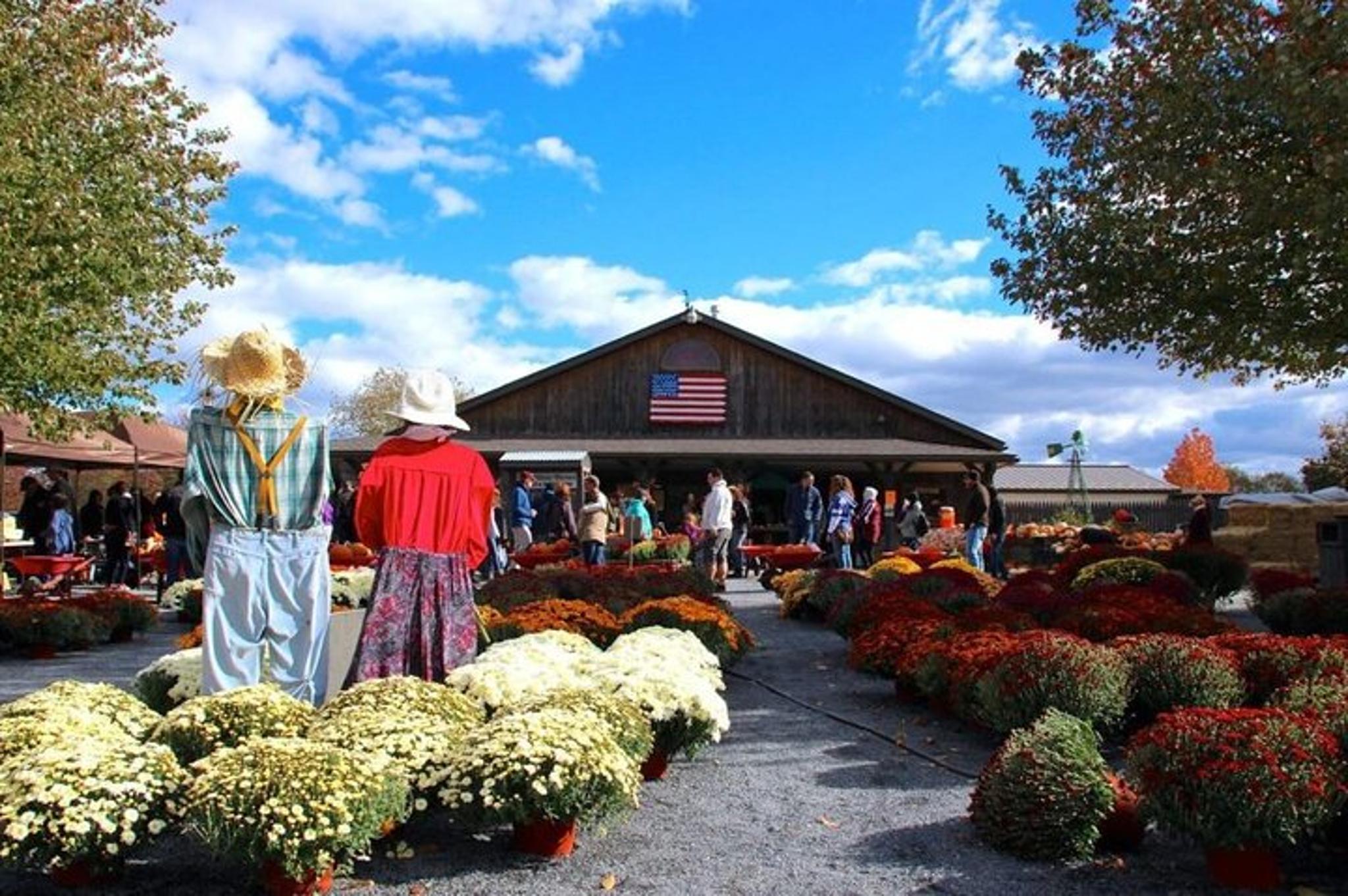 New York Farm Fun Day Tour - Image 4