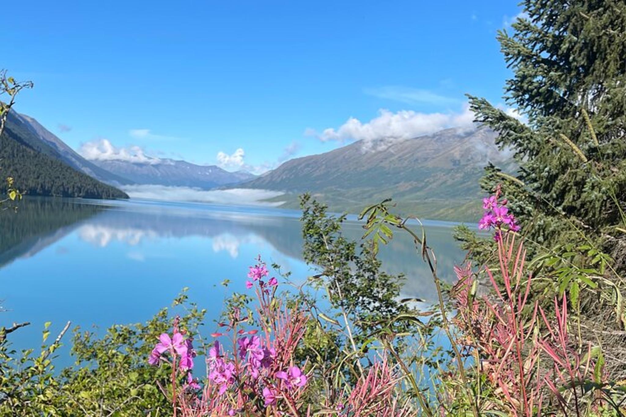 Anchorage to Seward Transport Tour - Image 2
