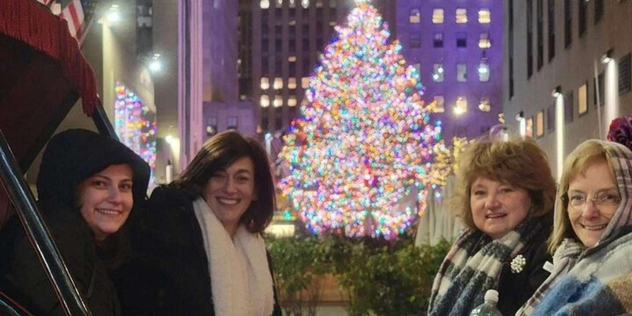 New York City Christmas Lights Horse Carriage Ride - Image 2