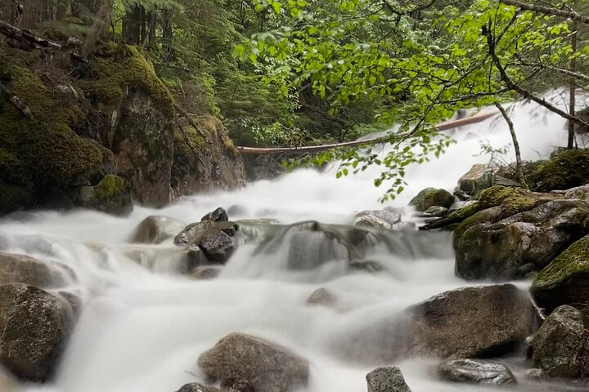 Skagway Waterfall Tour - Image 2