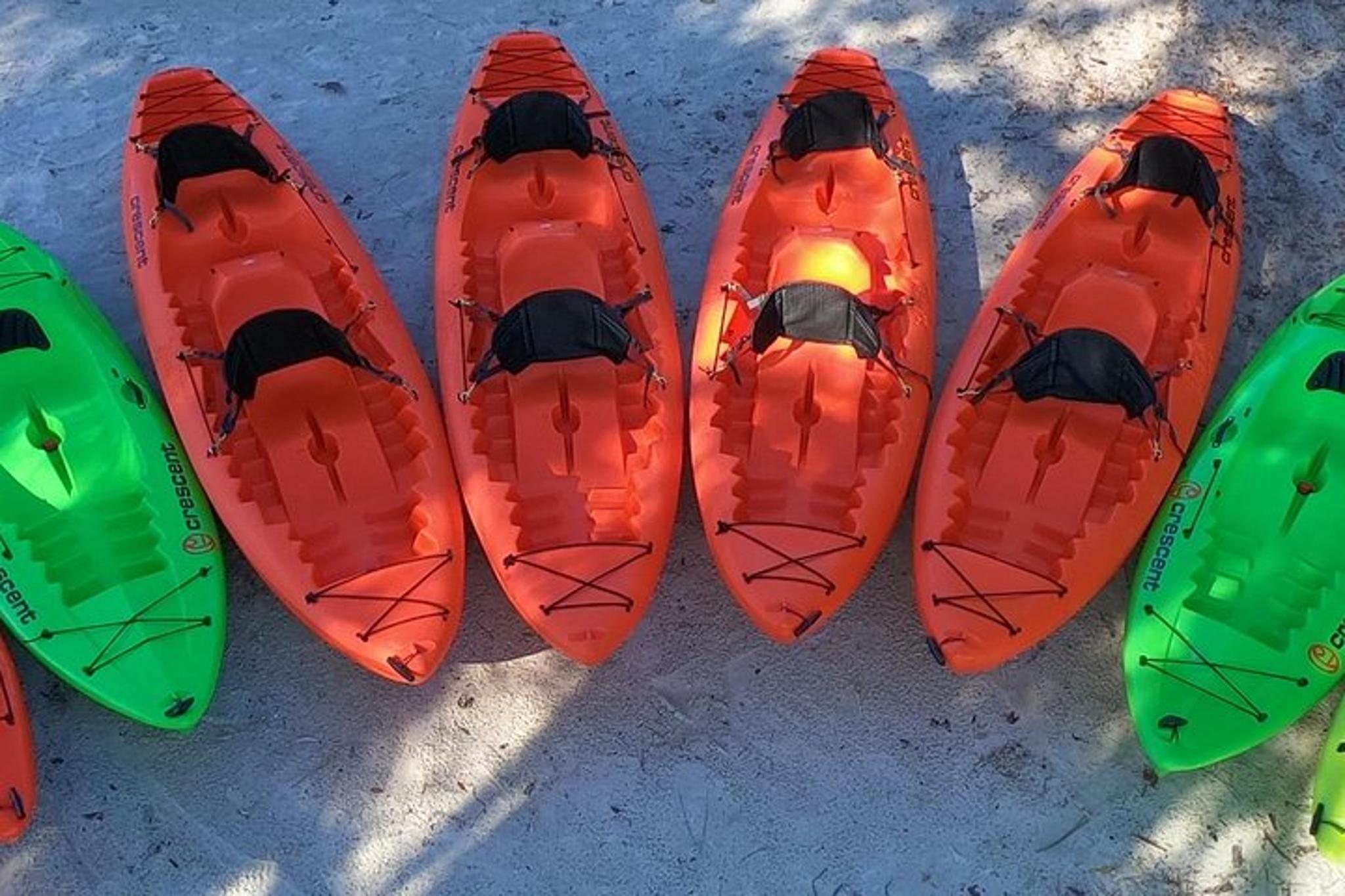 Crystal River Tandem Kayak Rental - Image 3