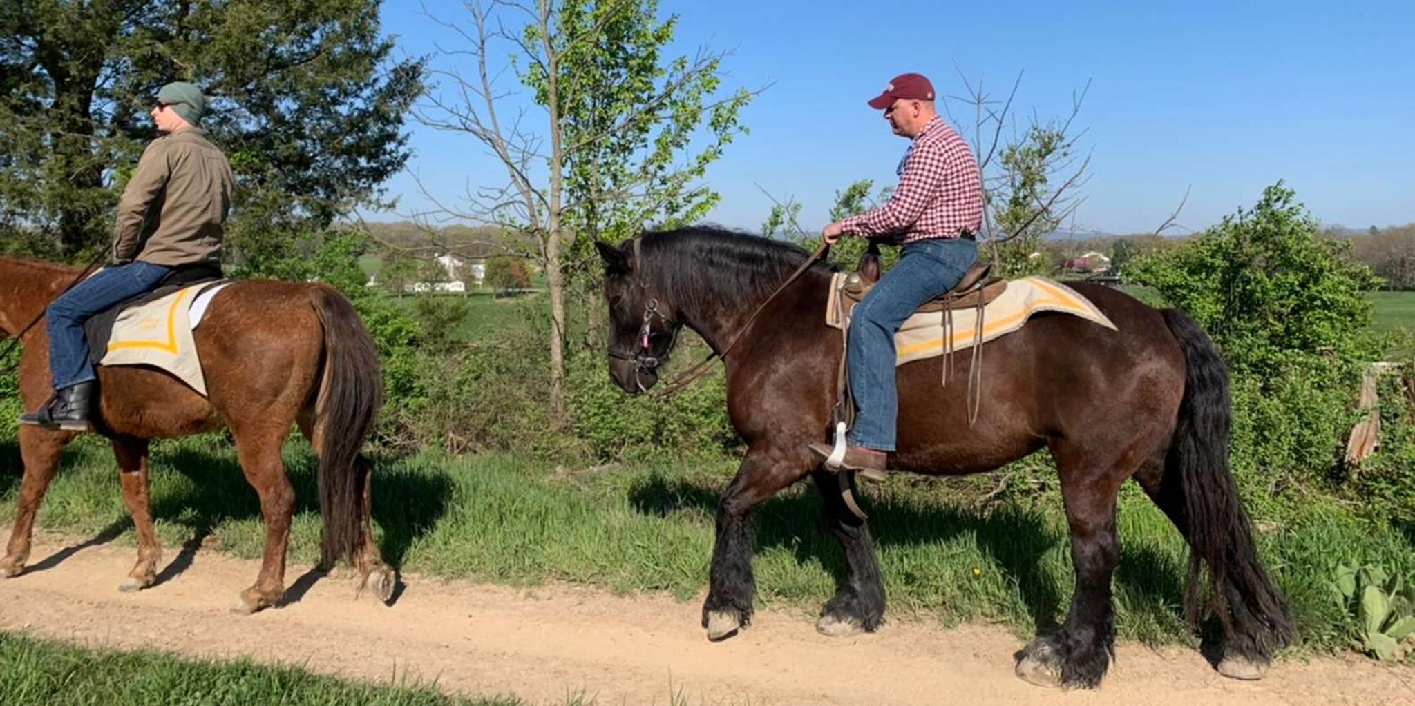 Gettysburg Battlefield Horseback Tour - Image 6
