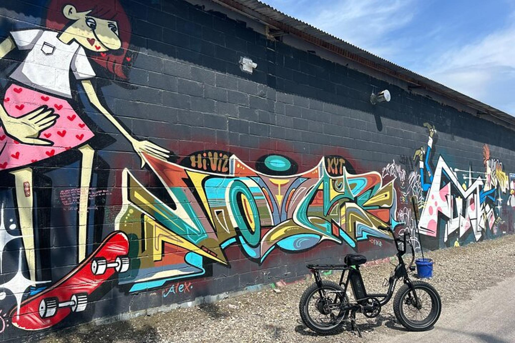 Asheville Electric Bike Rentals - Image 4
