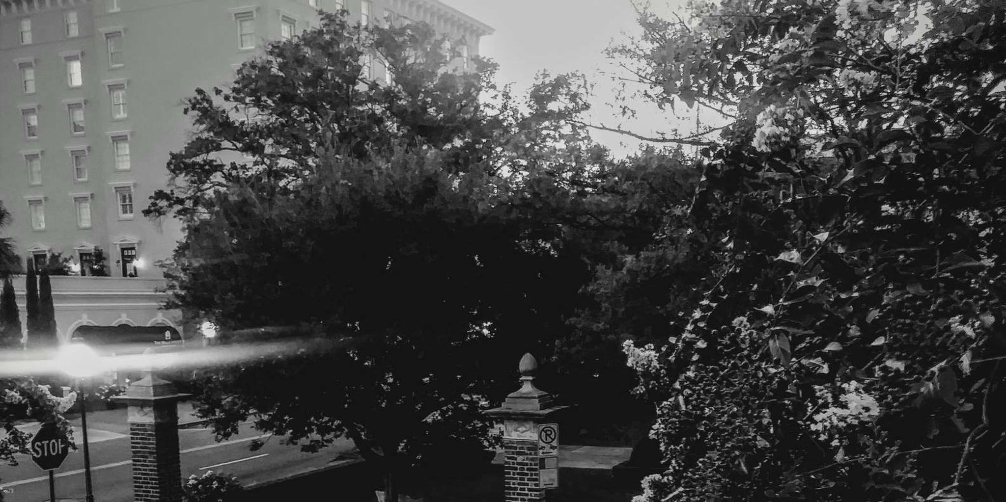Charleston Dark History and Ghost Tour - Image 2