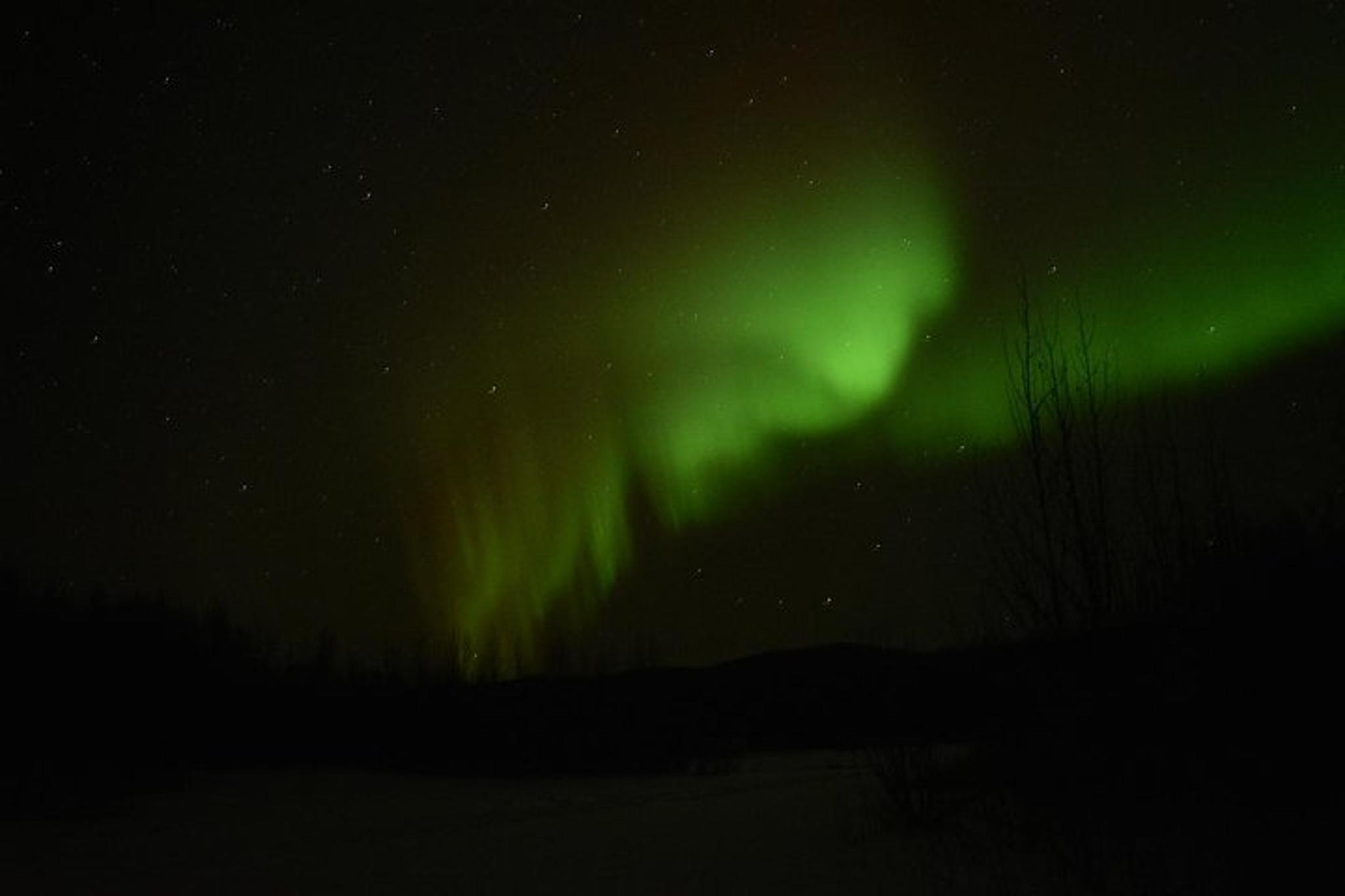Fairbanks Northern Lights and Arctic Circle Tour - Image 6