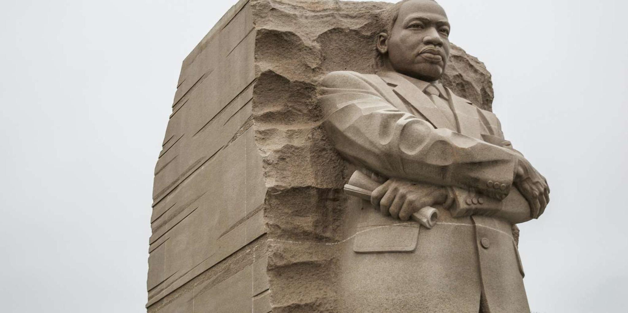 Washington DC Monuments & History Cherry Blossom Tour 2 hr - Image 3