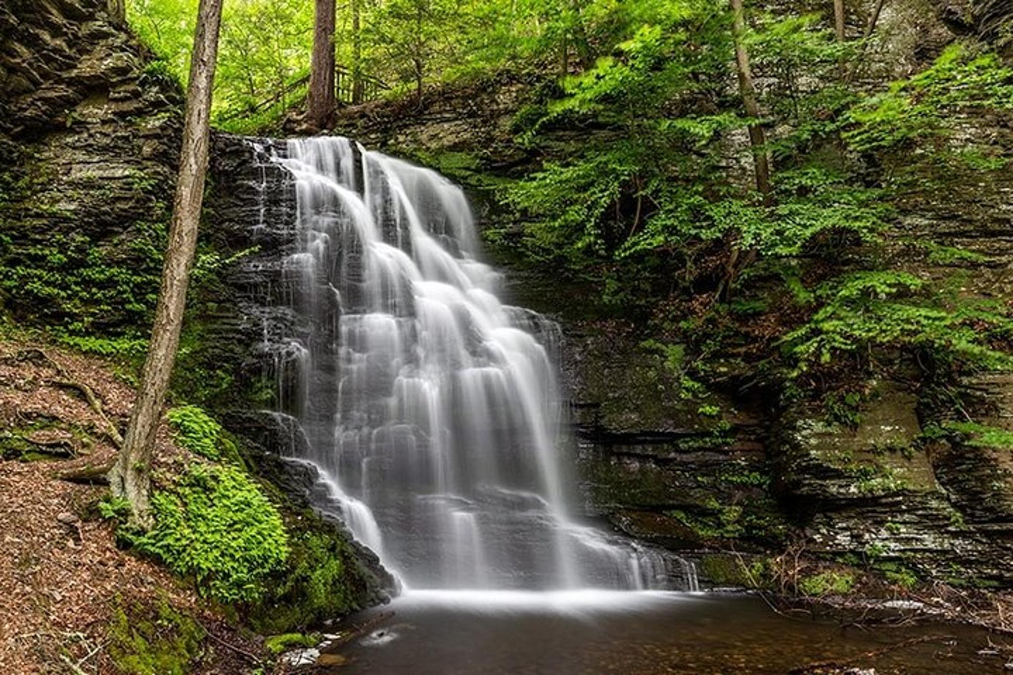 New York Stargazing and Bushkill Falls Tour - Image 4