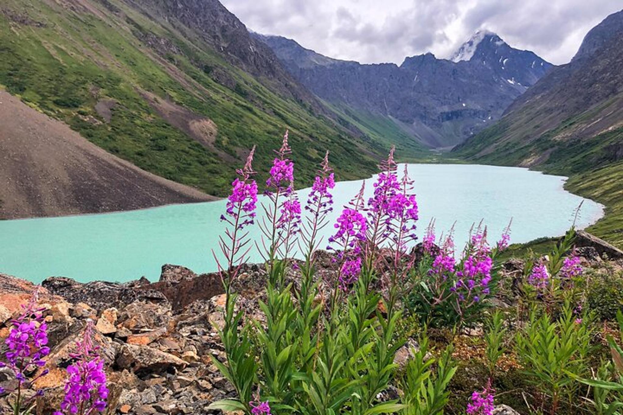 Anchorage Chugach State Park Hiking Tour - Image 3