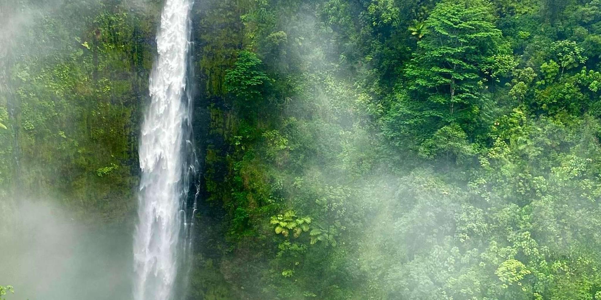 Hilo Waterfalls and Volcanoes Guided Tour - Image 2