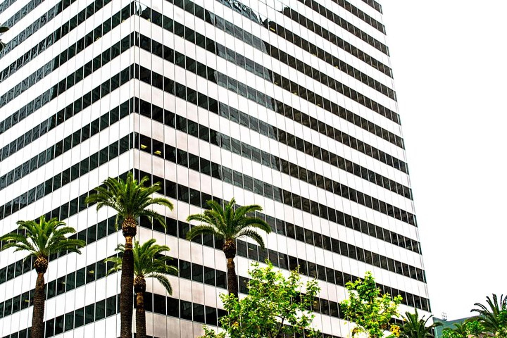 Los Angeles Layover Tour with Pickup - Image 4