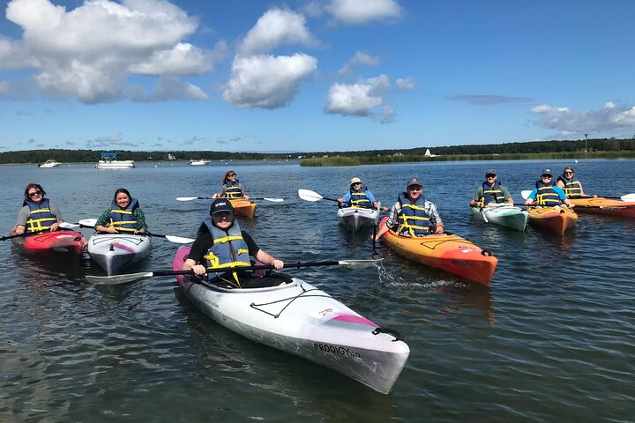 Cape Cod Kayak Tour in the Great Marsh - Image 4