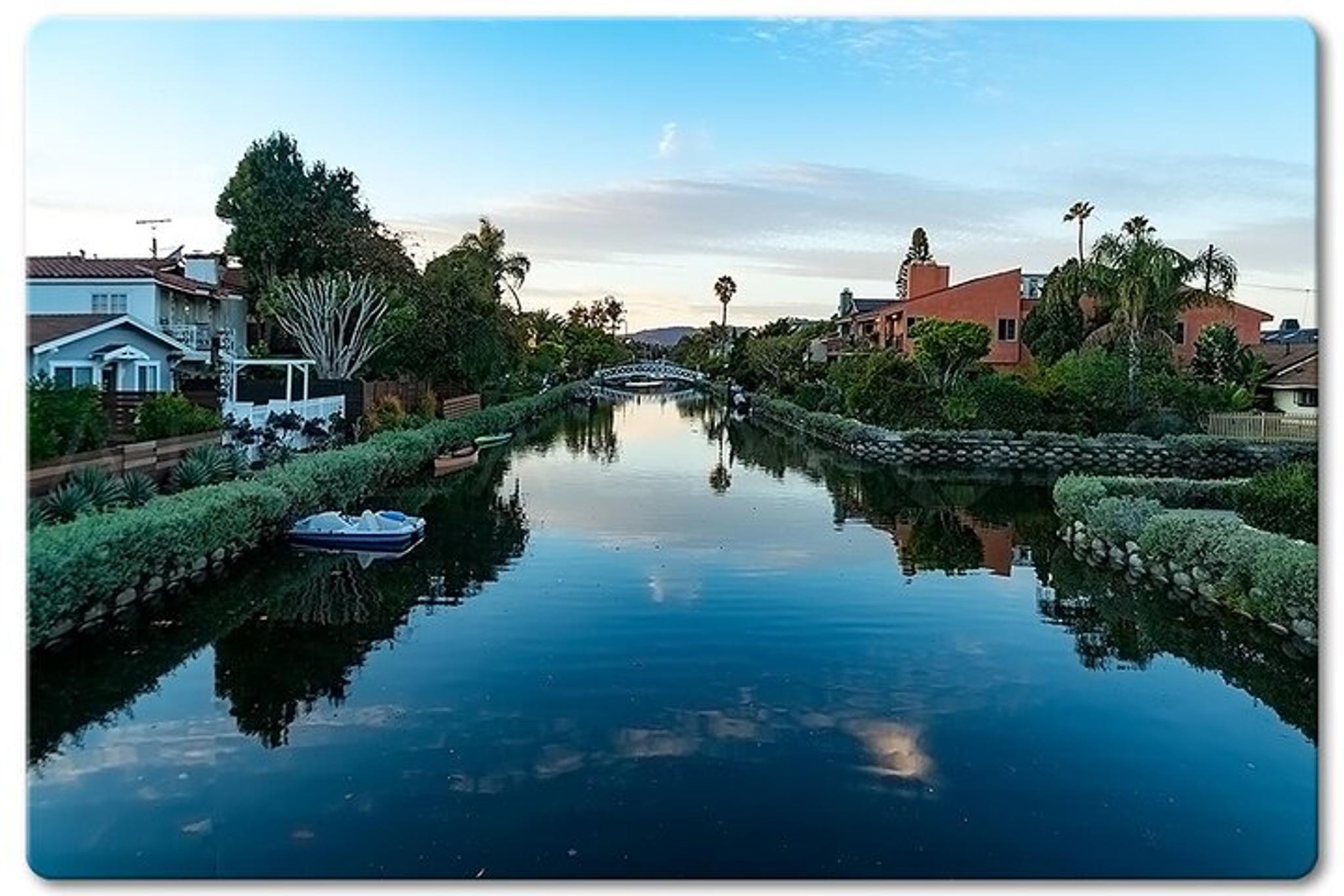 Venice Photographic Beach Walking Tour - Image 5