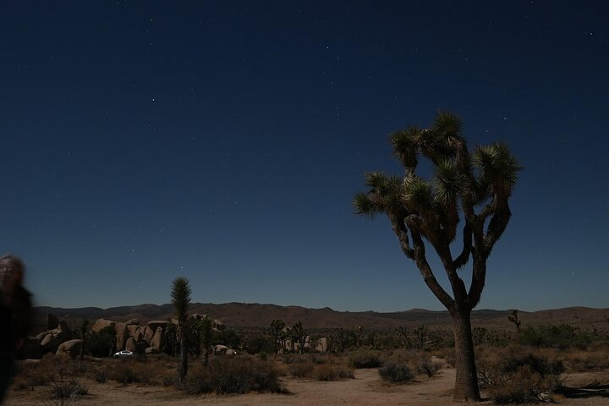 Los Angeles Joshua Tree National Park Adventure