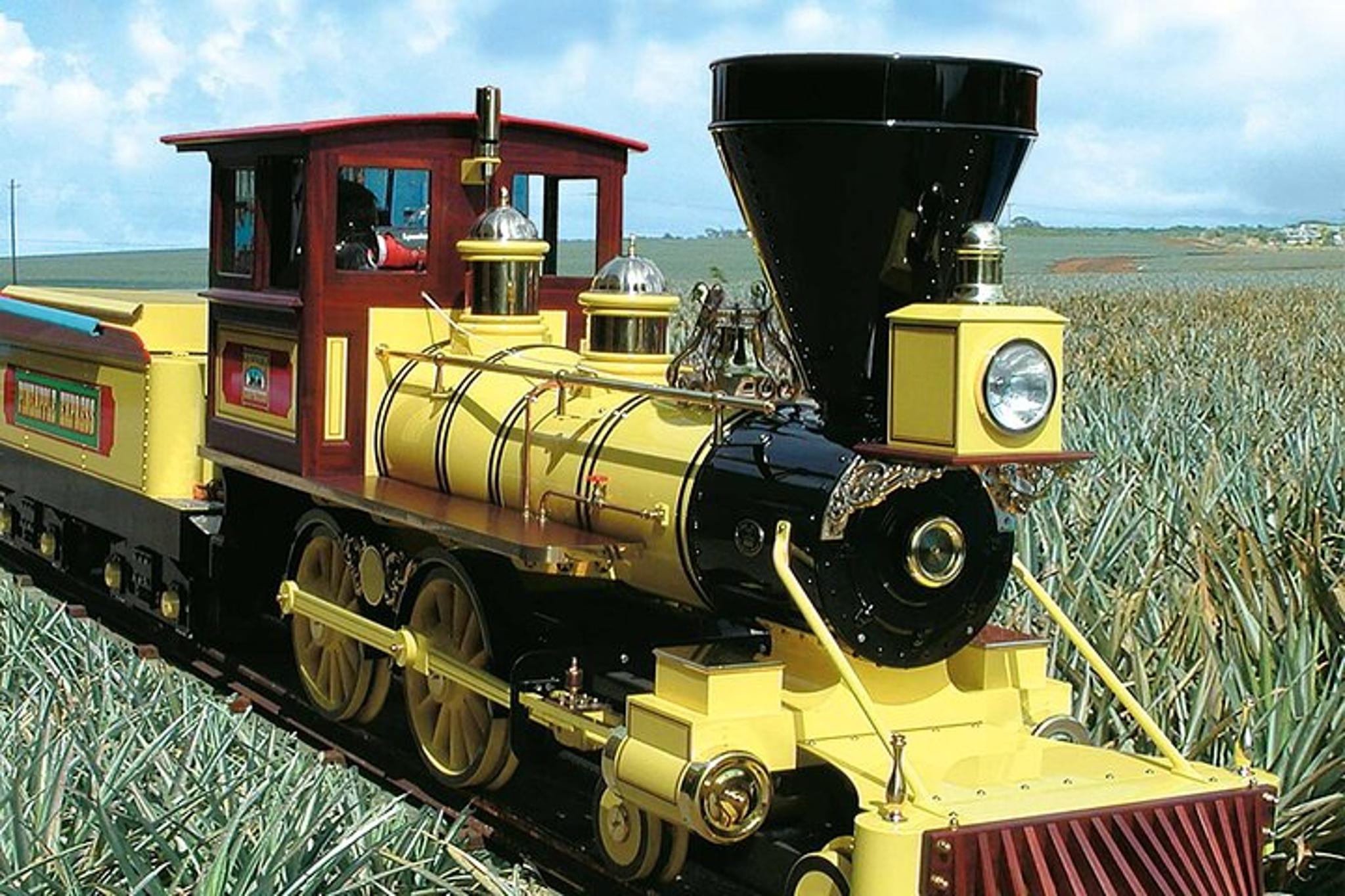 Oahu Haleiwa & Dole Plantation Tour - Image 1