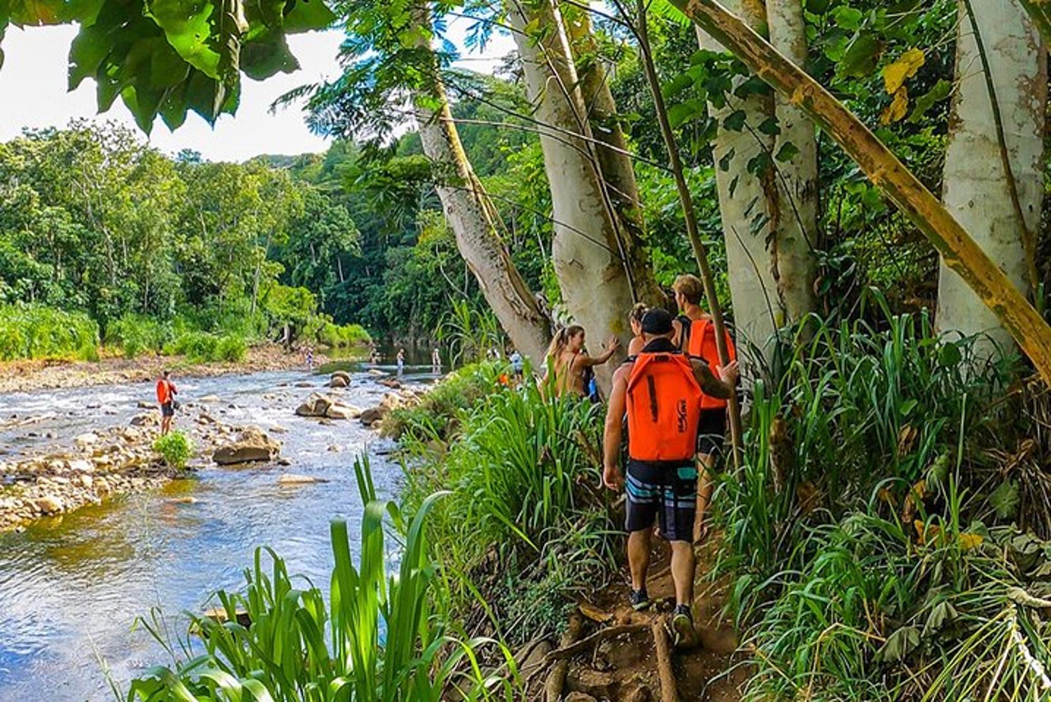 Kauai Kayak and Hike Adventure on the Wailua River - Image 1