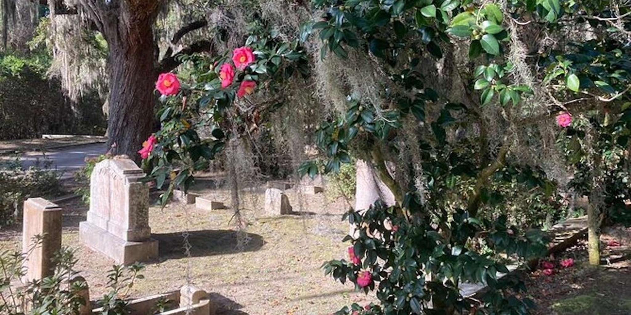 Savannah Bonaventure Cemetery Golf Cart Tour - Image 5