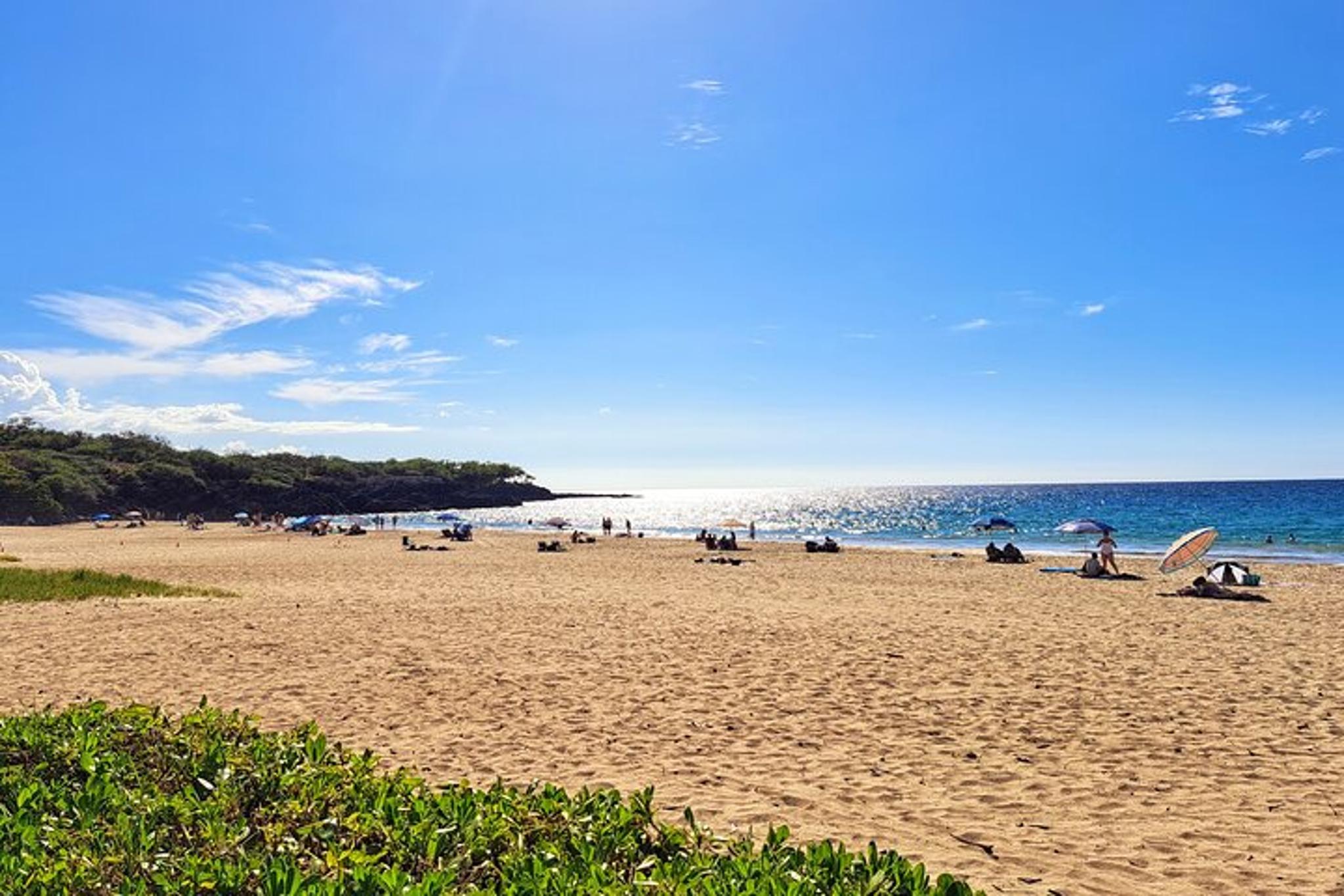 Hapuna Beach and Hawi Private Tour - Image 3