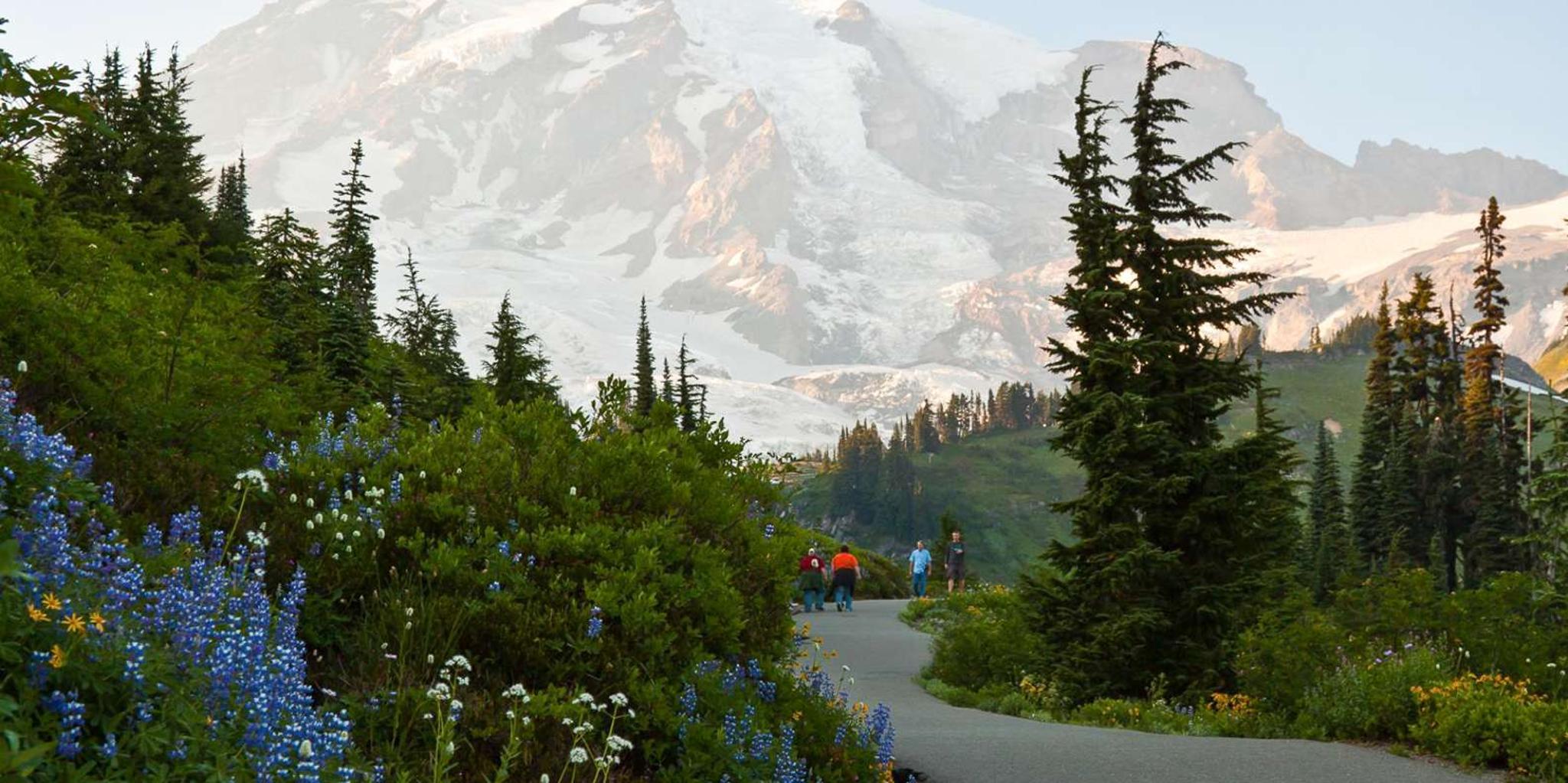 Seattle Mount Rainier National Park Small-Group Tour