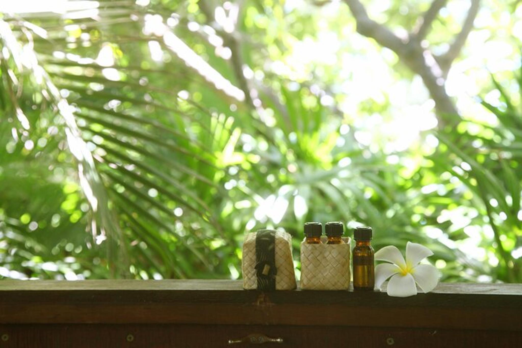 Hawaiian Cultural Retreat Day - Image 4