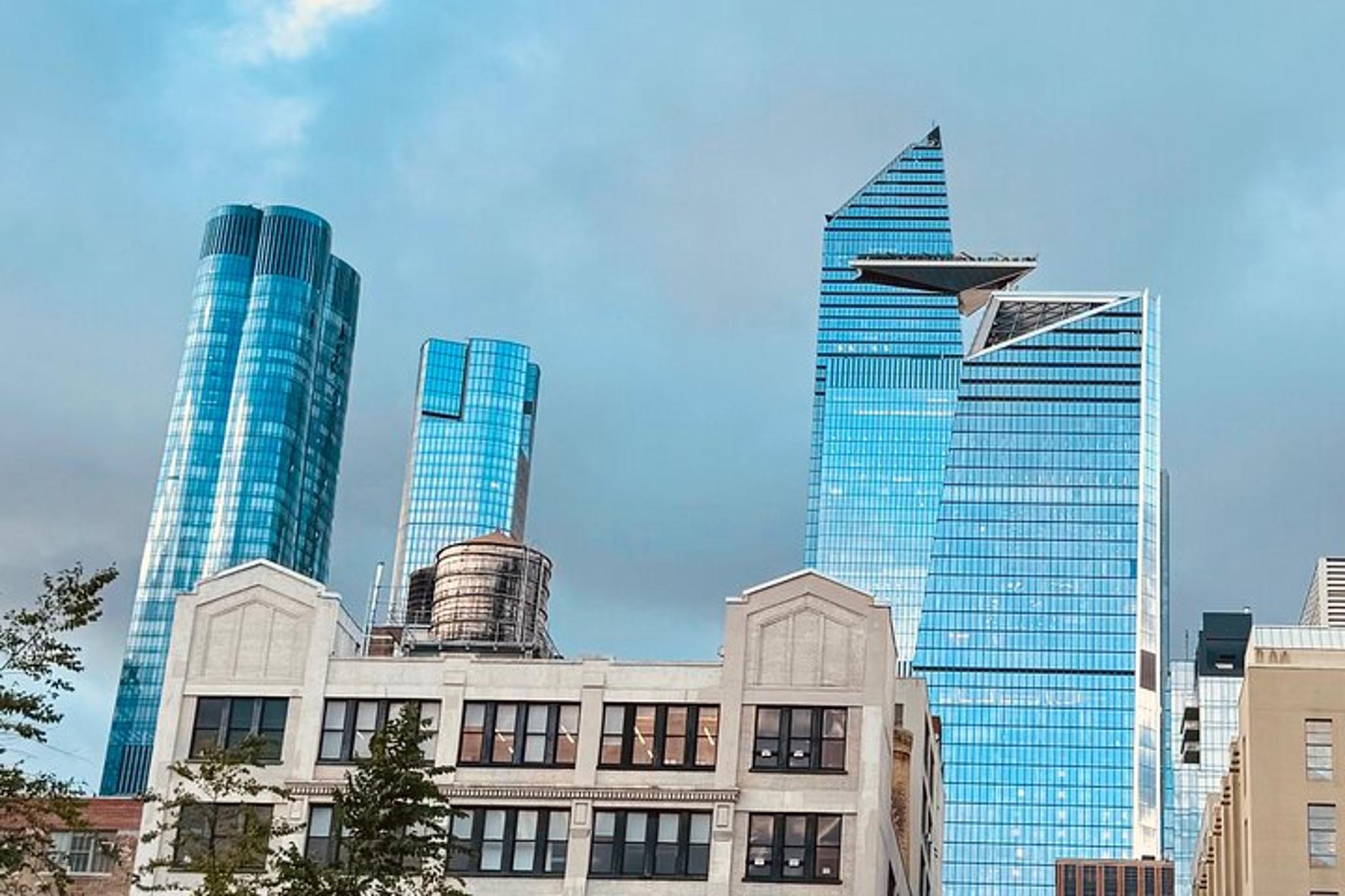 New York City Hudson Yards Walking Tour - Image 6