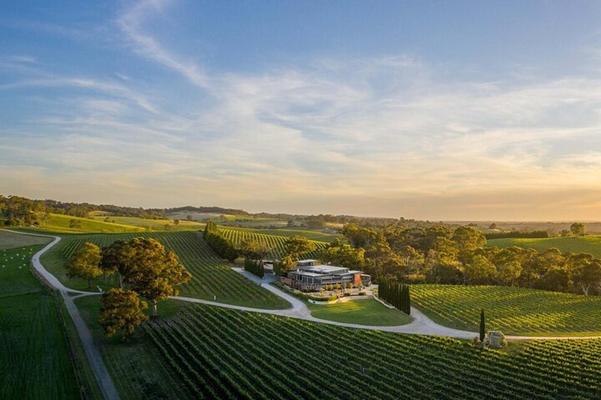 Phoenix Vortex and Vineyard Tour - Image 1
