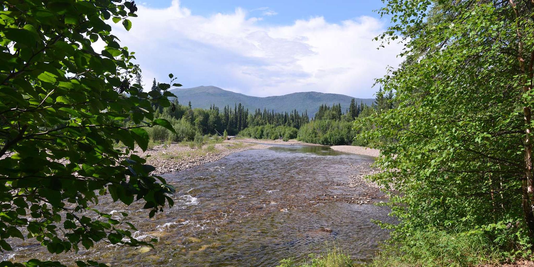 Fairbanks Chena Hot Springs and Ice Museum Tour - Image 2